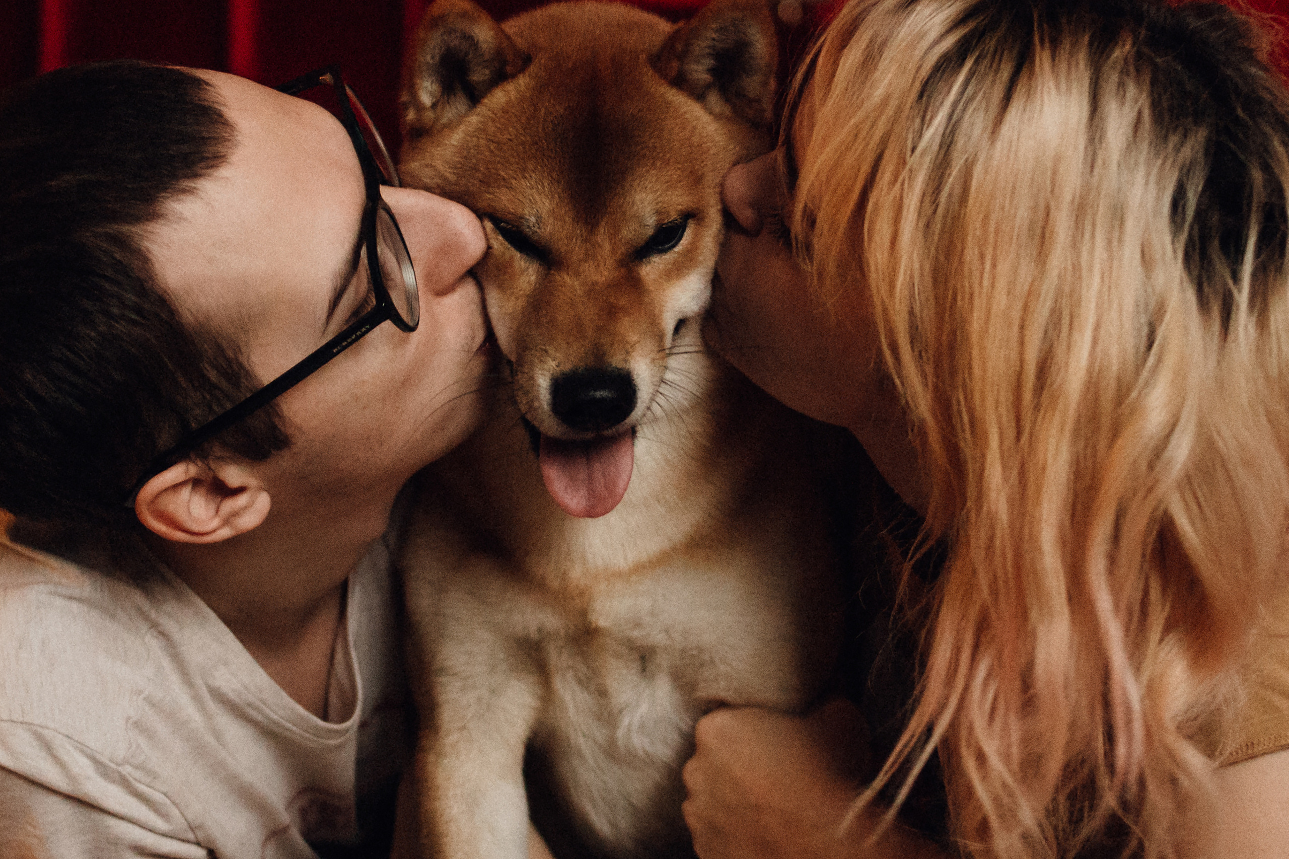 Как у нас дома любовь…. Фотограф в Санкт-Петербурге Вера Сивенкова