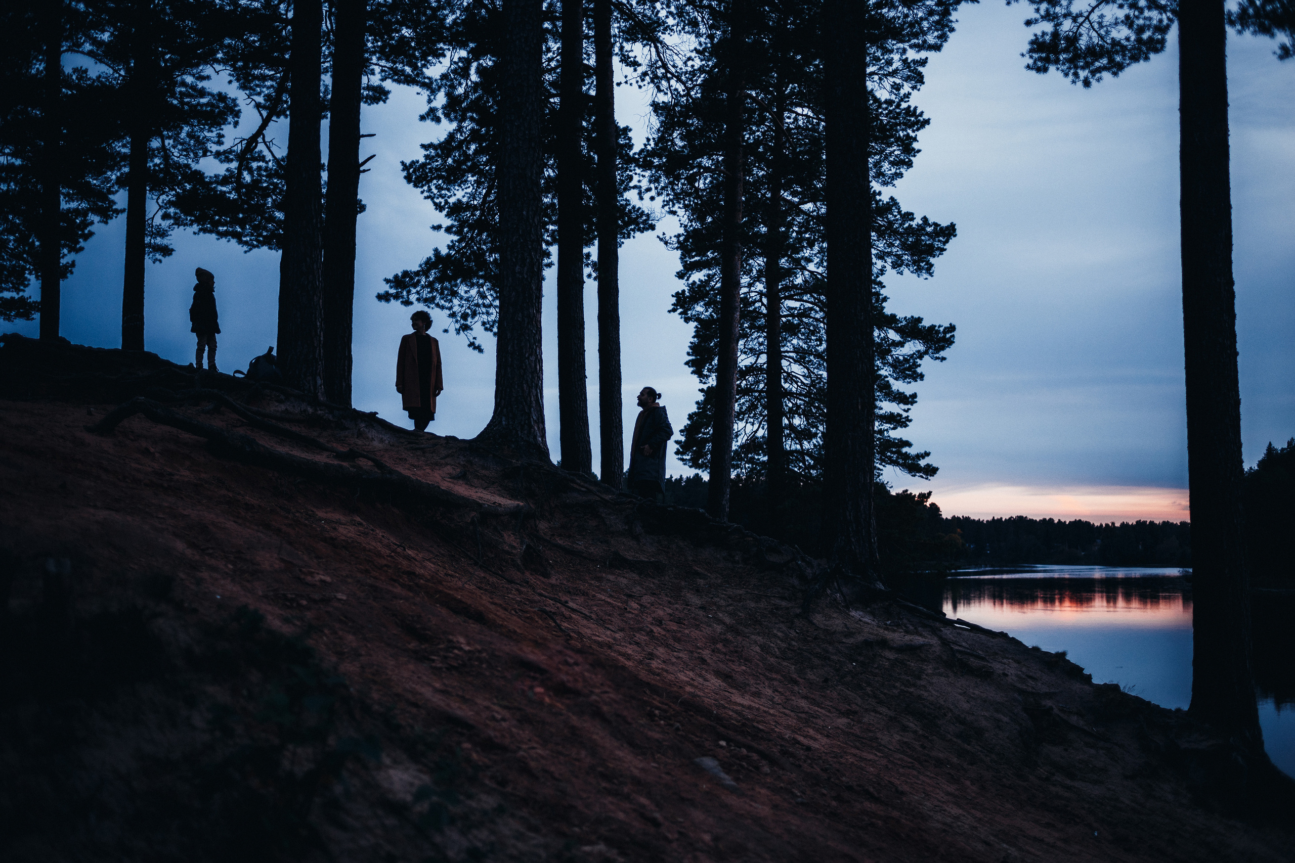 И слышатся шаги ходульных сосен. Фотограф в Санкт-Петербурге Вера Сивенкова