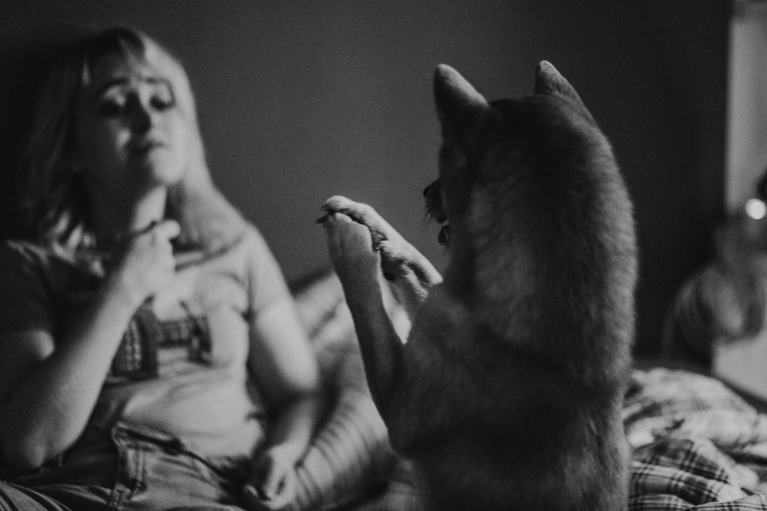 Как у нас дома любовь…. Фотограф в Санкт-Петербурге Вера Сивенкова