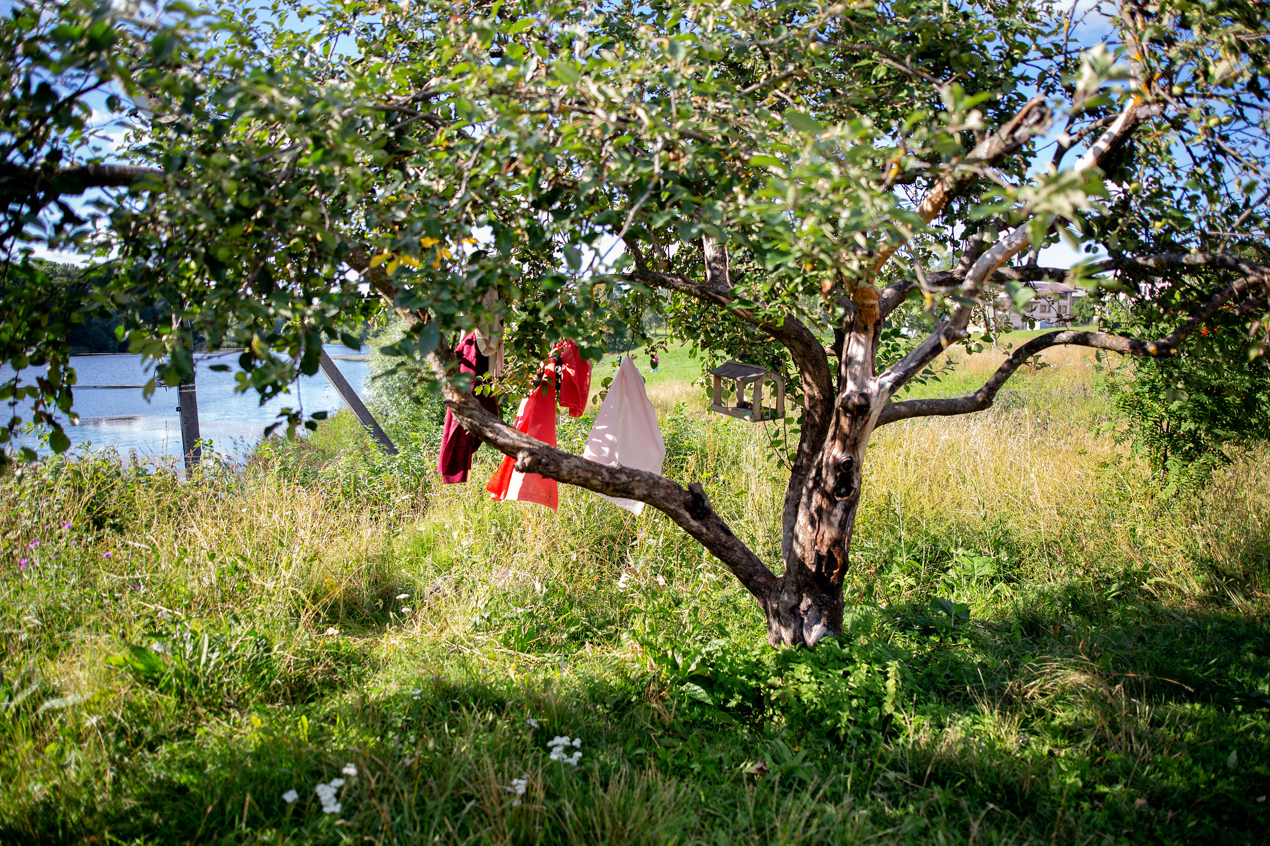 Контент-съемки для Муравы (магазин льна). Фотограф в Санкт-Петербурге Вера Сивенкова
