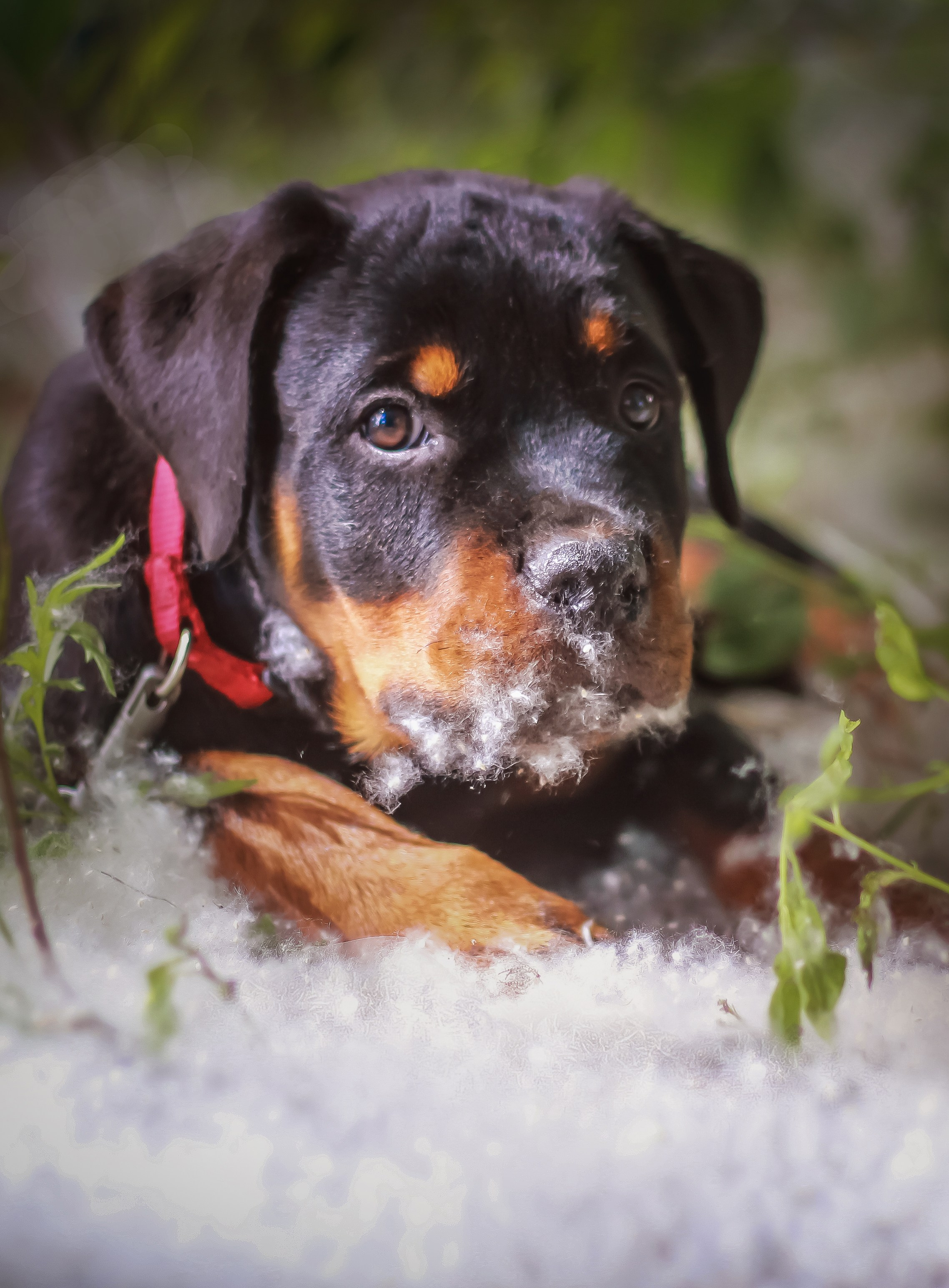 Животные. Авторские туры с профессиональным фотографом