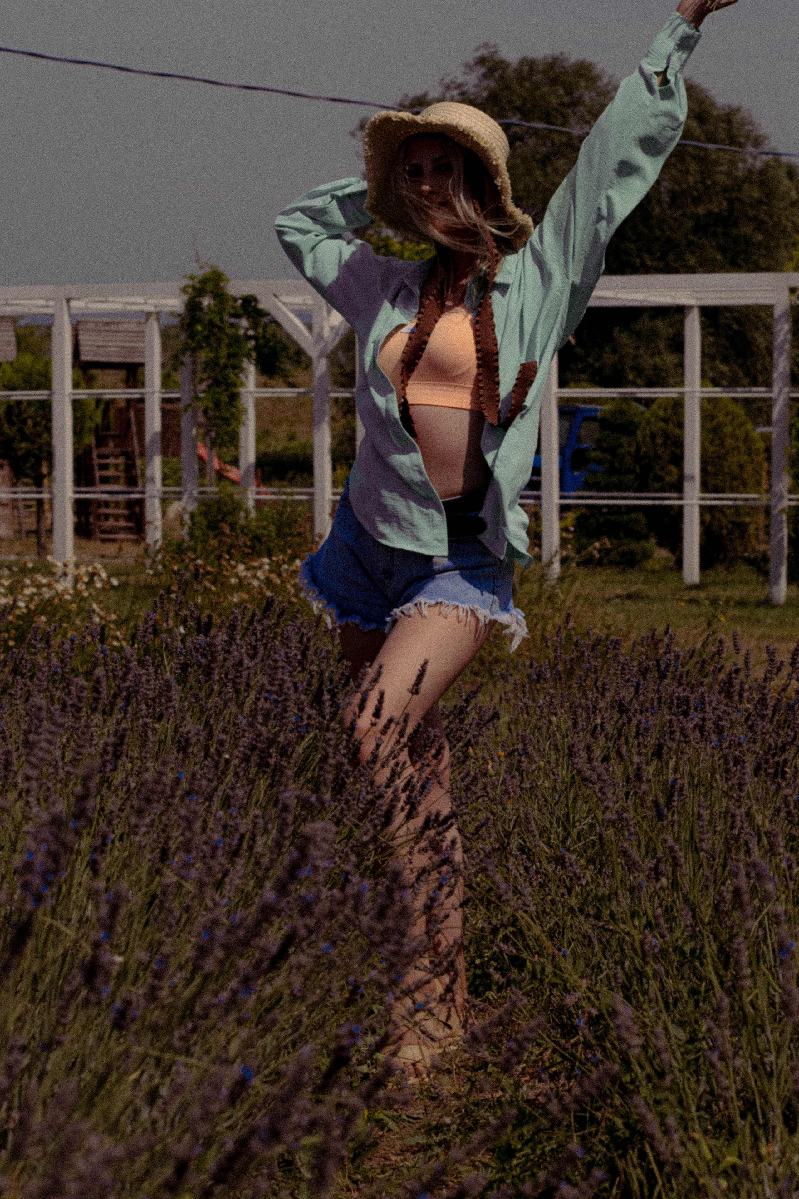 ЛАВАНВОДОВОЕ ПОЛЕ. Профессиональный фотограф, Санкт-Петербург — Виктория Богомолова