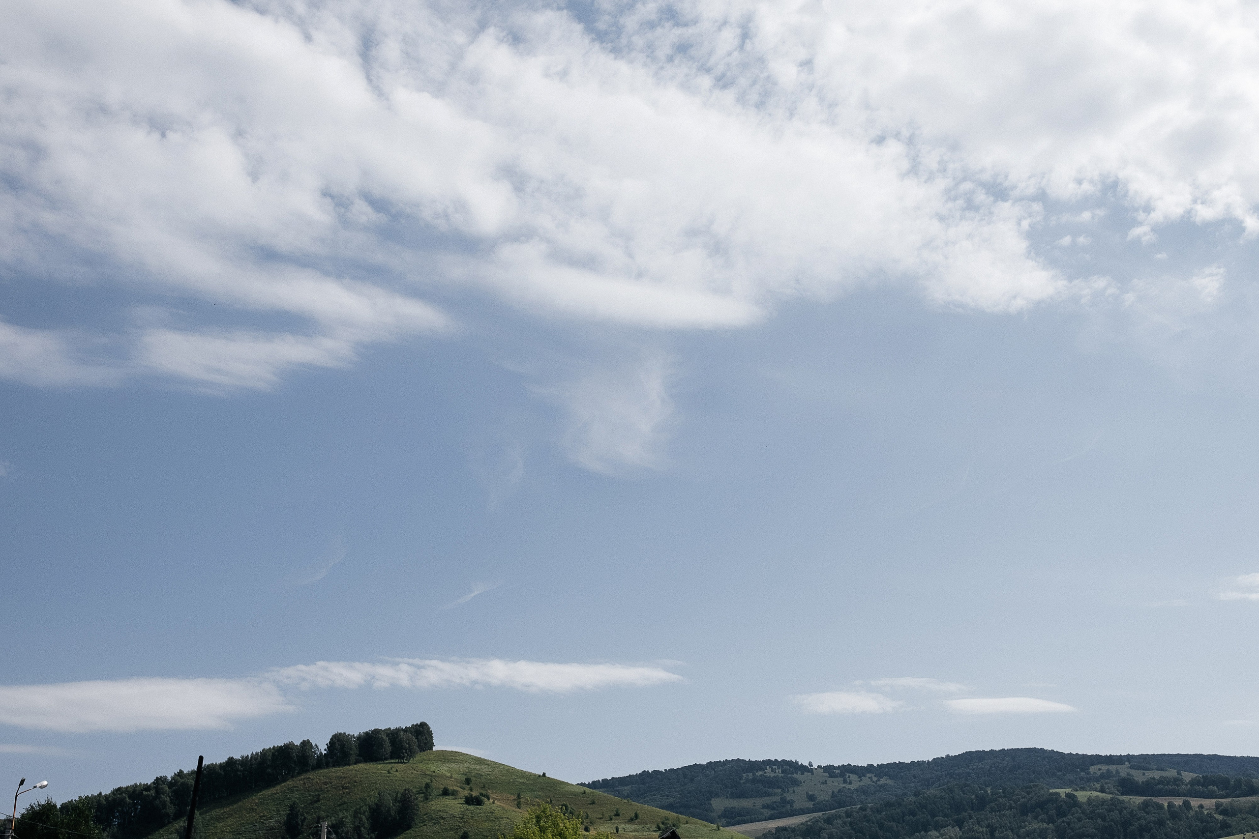 Все по року. Свадебный и семейный фотограф Барнаул Рубцовск Бийск Алтайский край