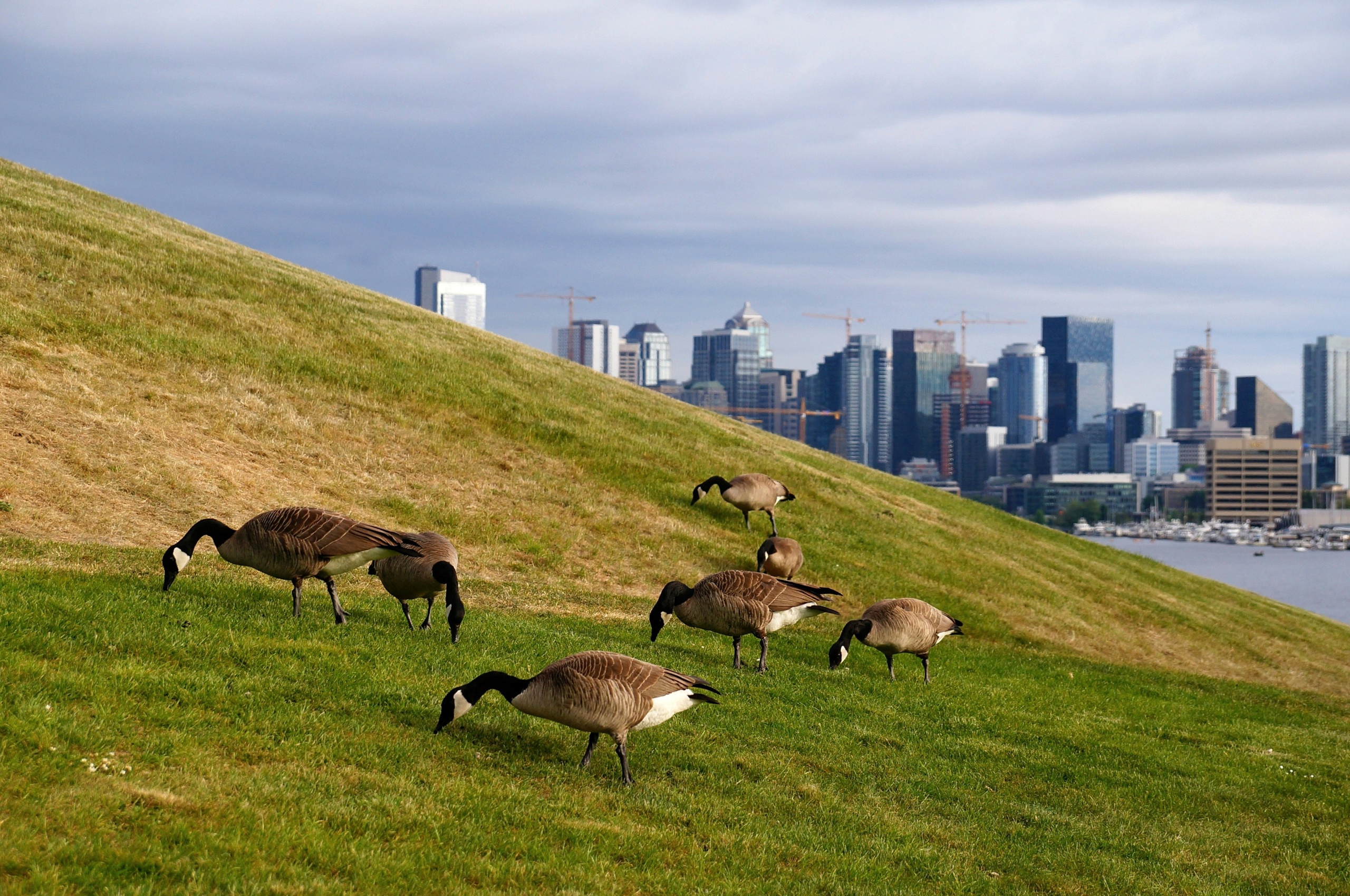Emerald City. Мои фото