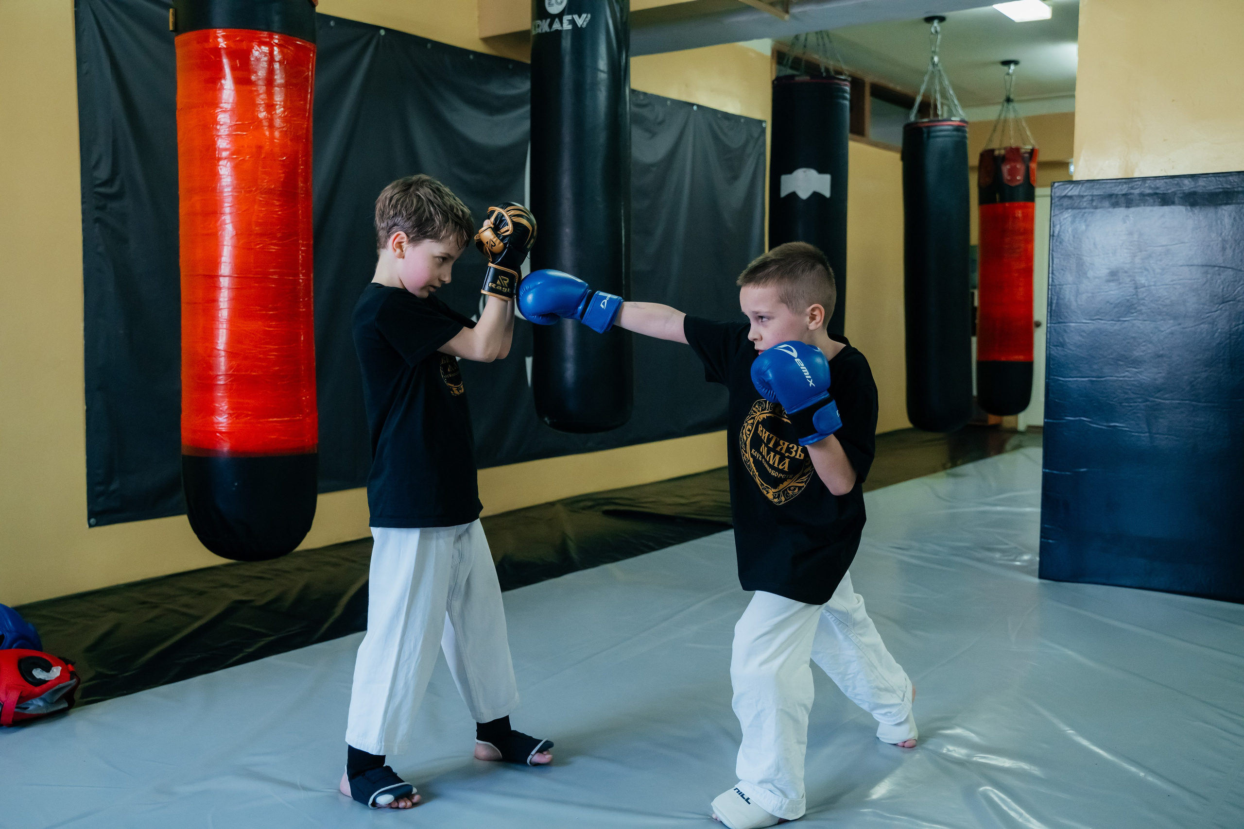 ММА клуб «ВИТЯЗЬ». Семейный фотограф в Саратове