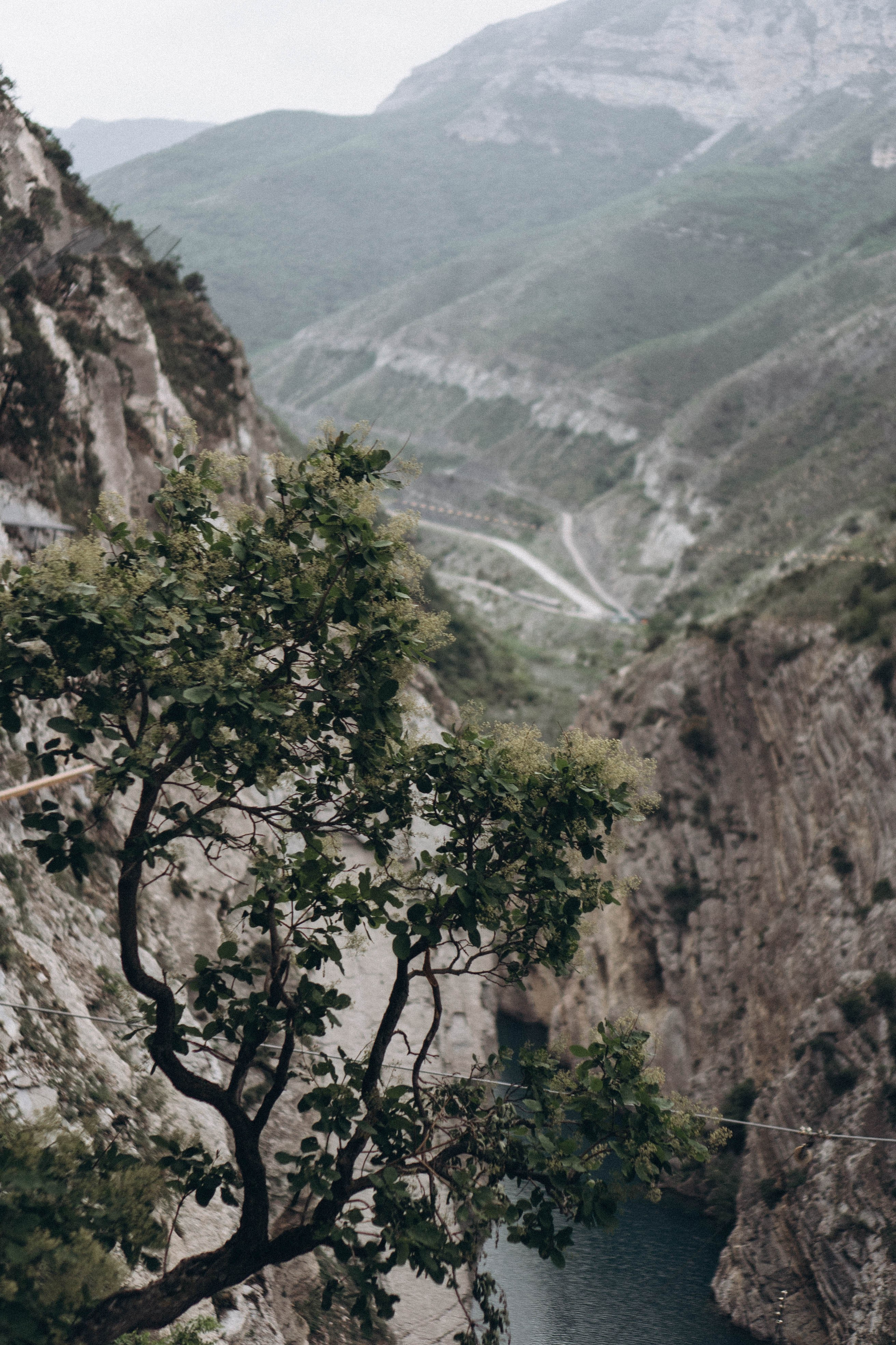Кавказ. Профессиональный фотограф, Санкт-Петербург — Виктория Богомолова