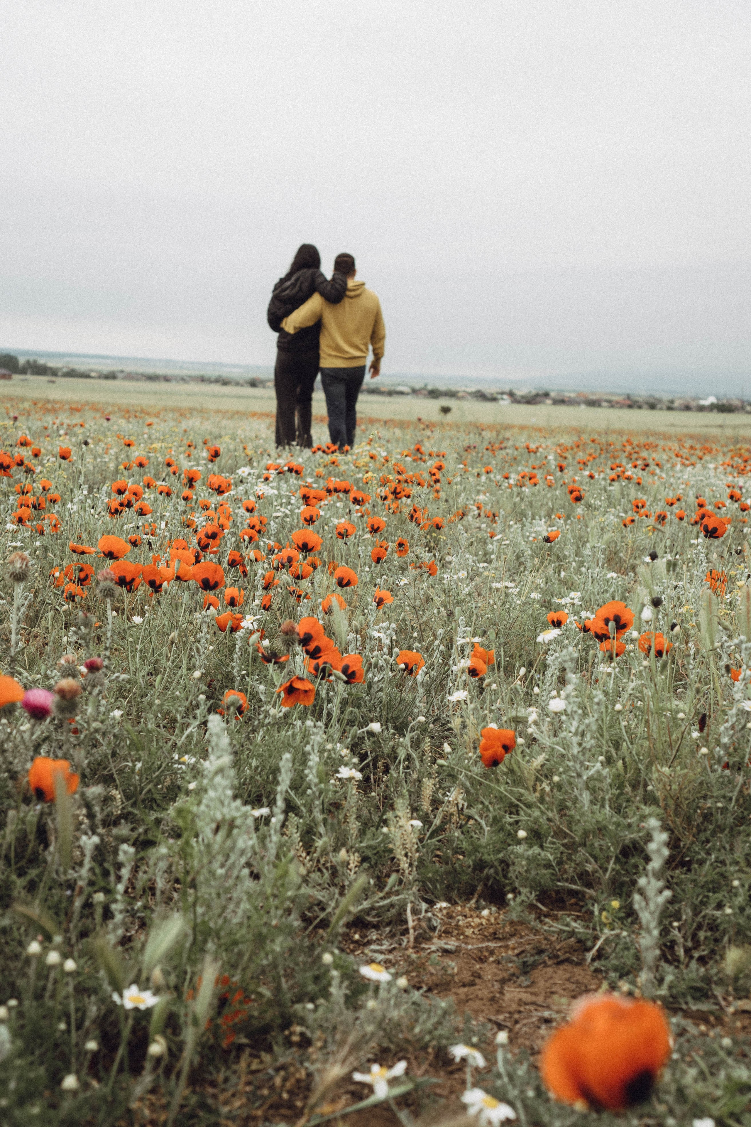Любовь в маковом поле. Профессиональный фотограф, Санкт-Петербург — Виктория Богомолова