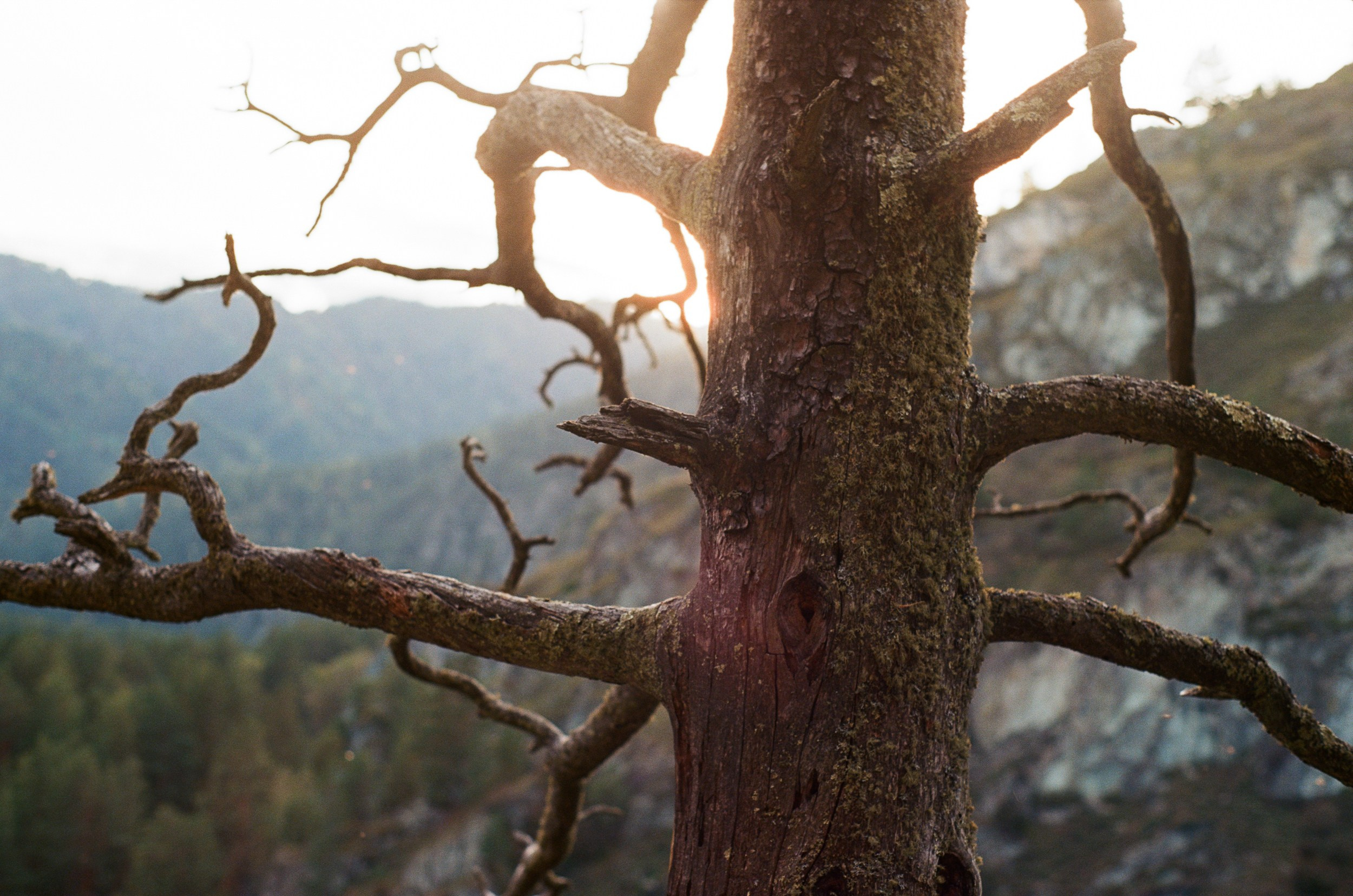 Пейзажные фотографии Алтая. Портретный и репортажный фотограф. Мыльников Илья