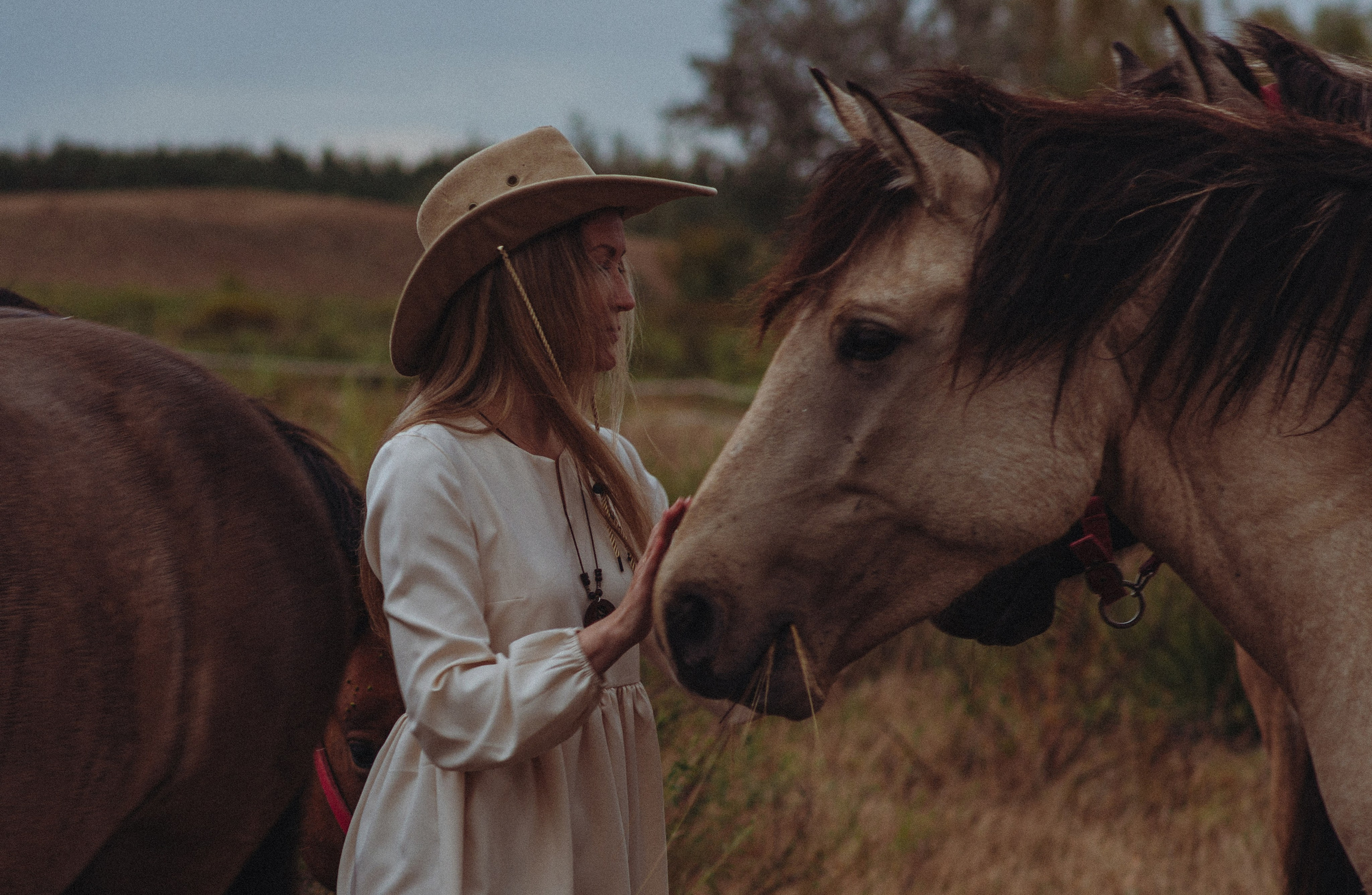 У добрых вяток. Конный фотограф в Саратове Юлия Иванова