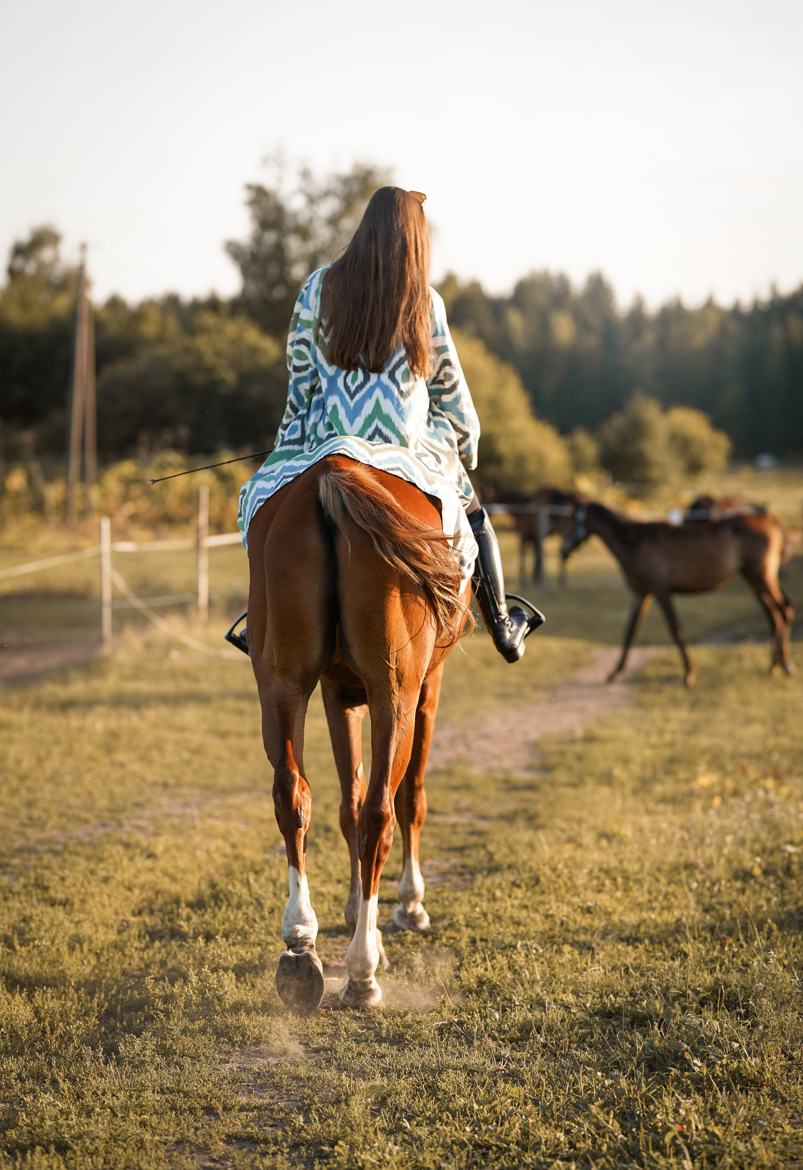 Лера Джон и Диамант. Фотограф-анималист в Санкт-Петербурге Яна Мартынова