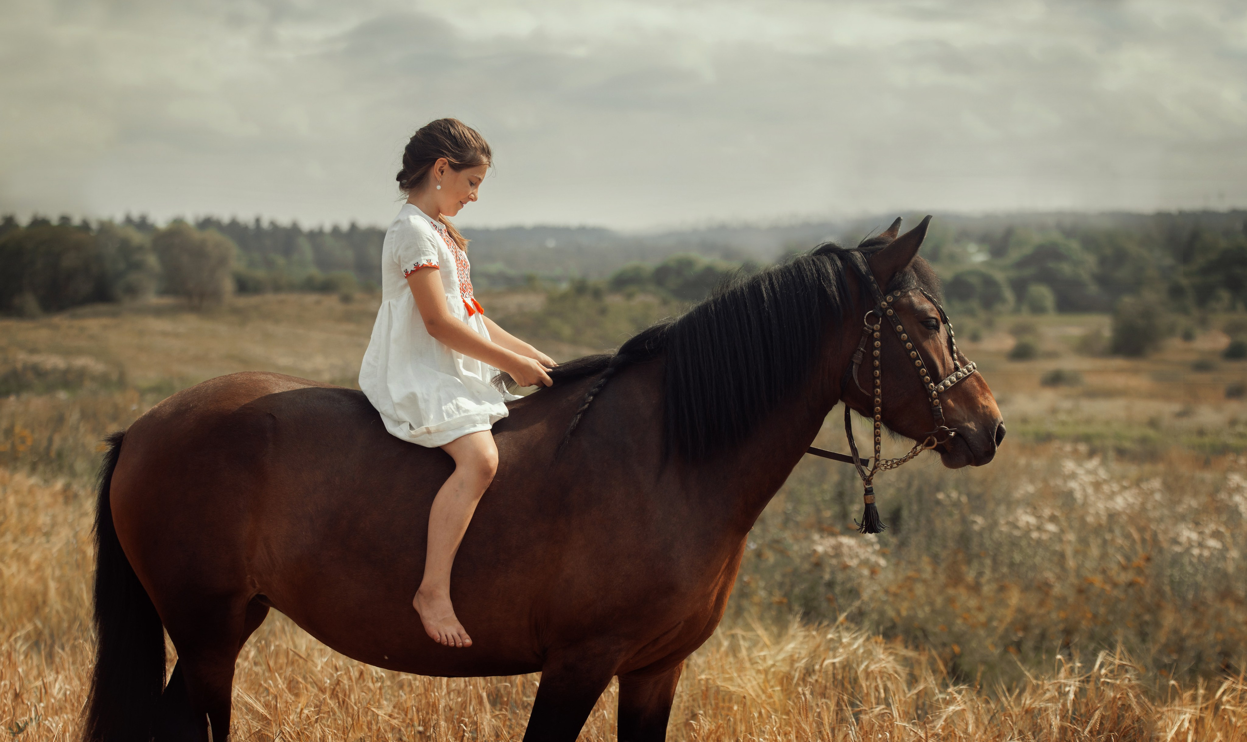 Конная съёмка. Взрослые. Детская Конная фотография в Москве Юлия Шепелева