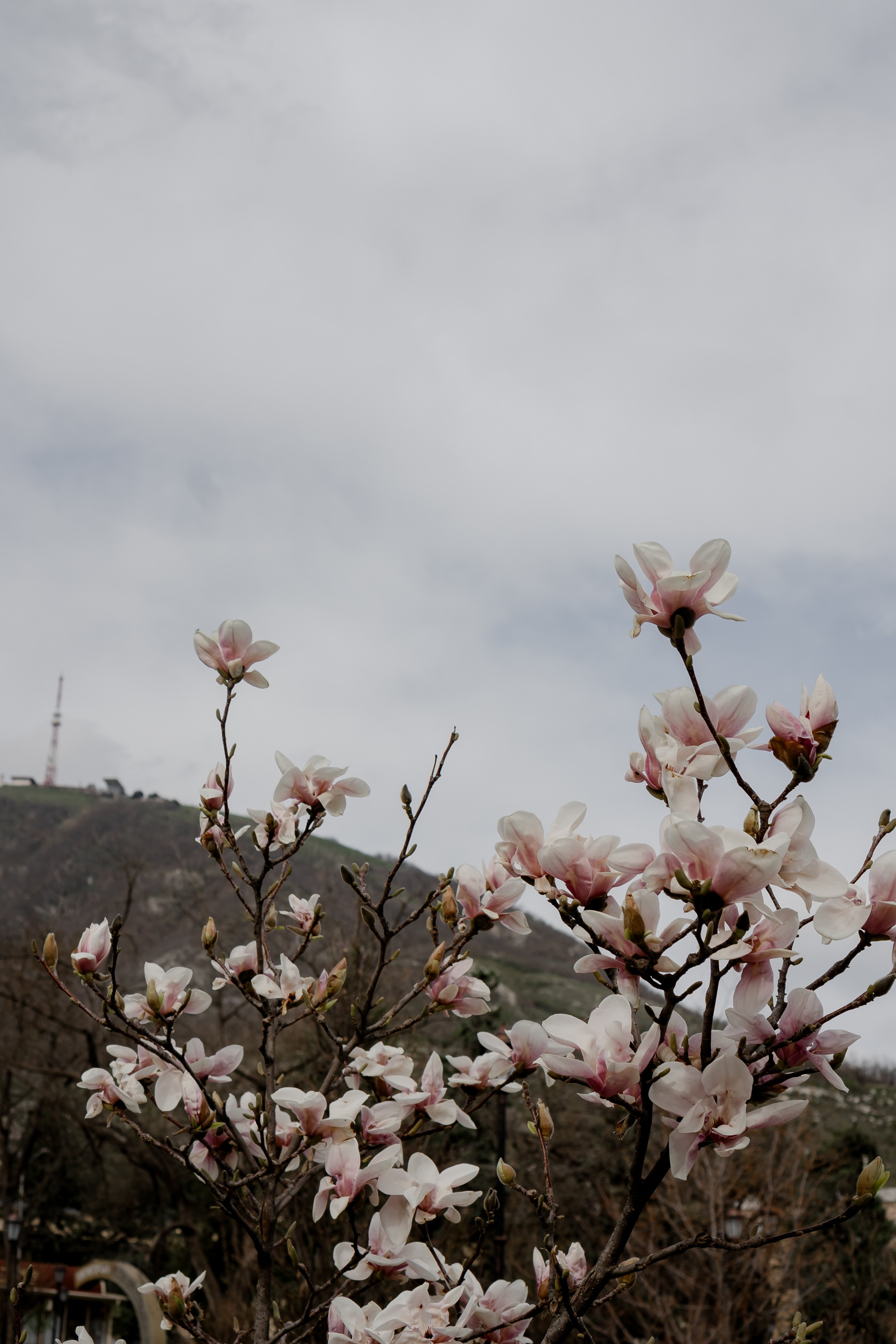 ПЯТИГОРСК. Профессиональный фотограф, Санкт-Петербург — Виктория Богомолова