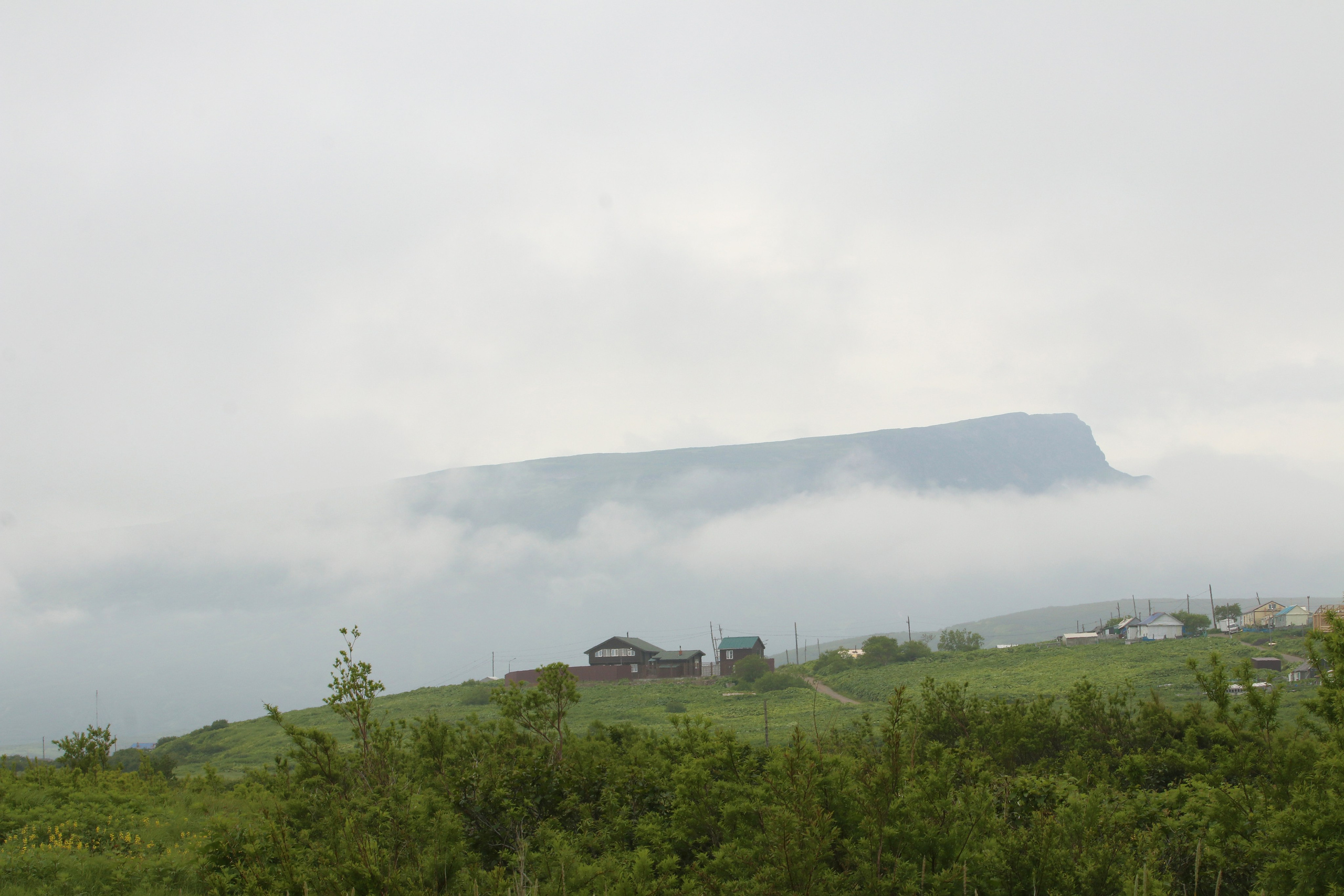 Камчатка и о. Парамушир. Июль 2024. Путешественник-фотограф из Санкт-Петербурга Татьяна Свистулина