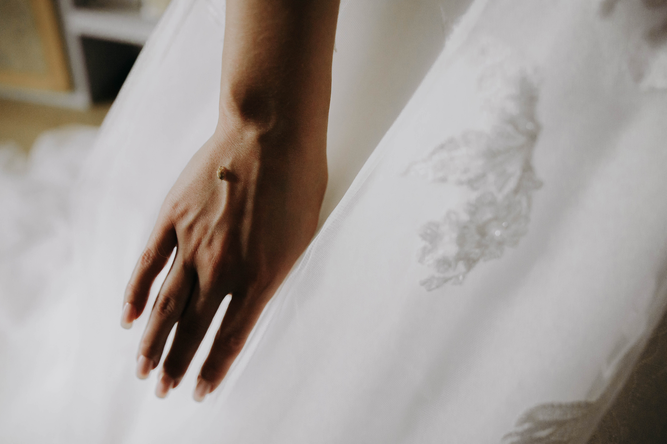 Жаркий тусич. Галерея