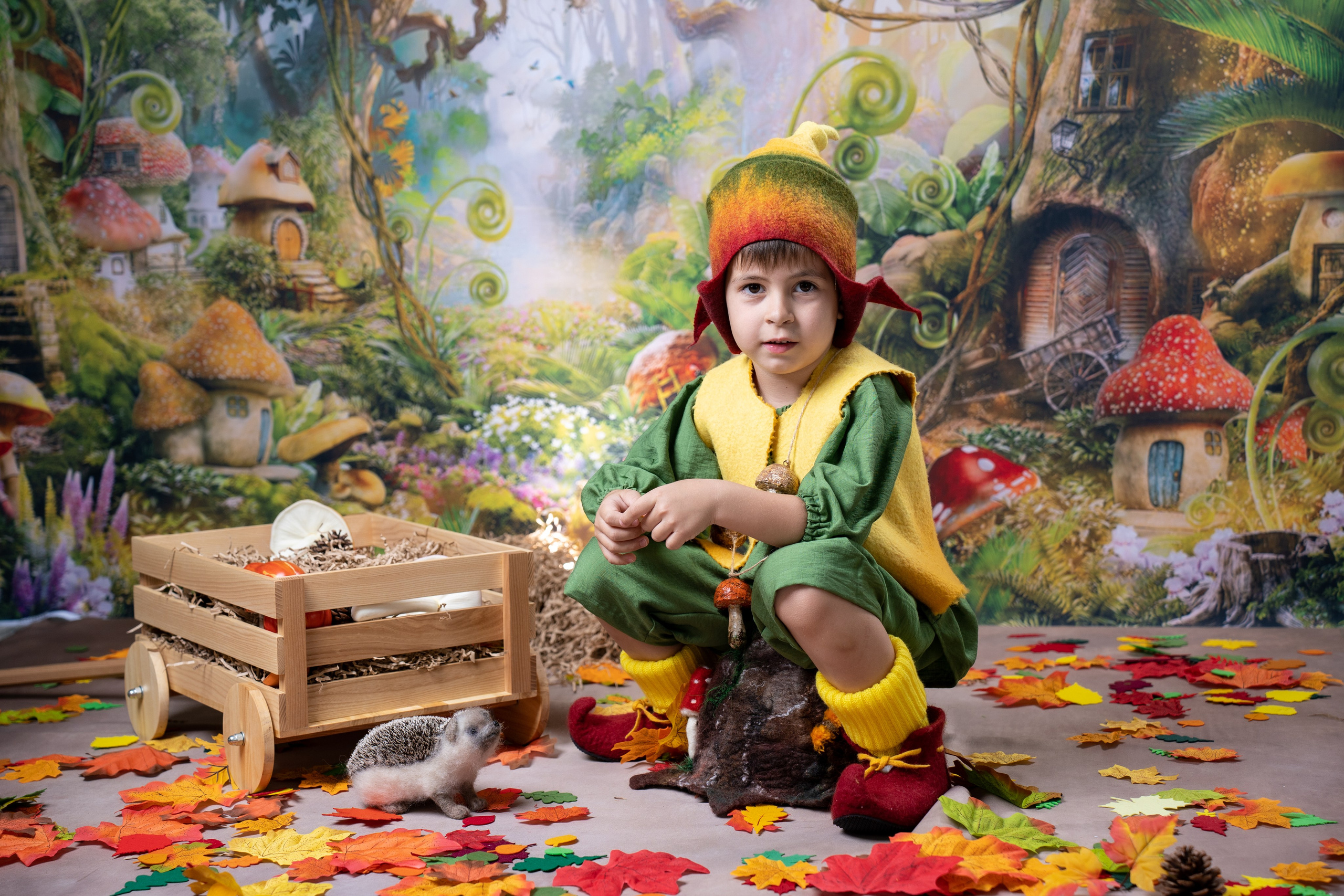 Фотосессия «Лес Чудес». Фотостудия «Стрекоза»