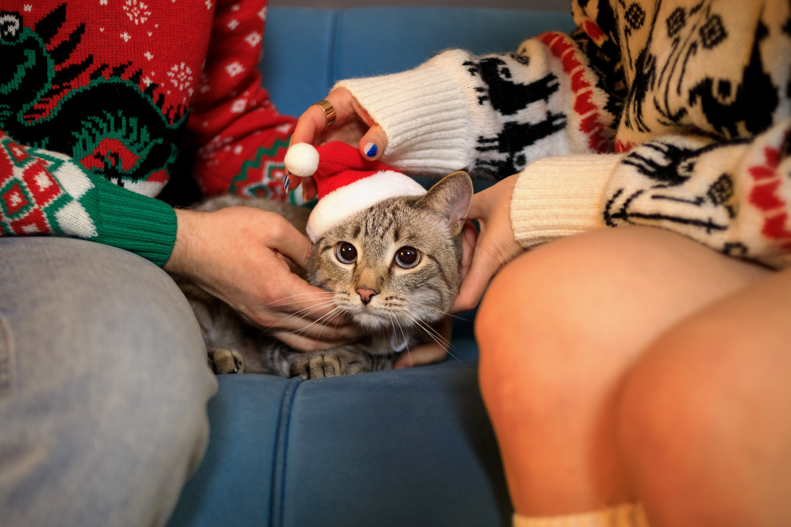 Семейные, детские фотосессии