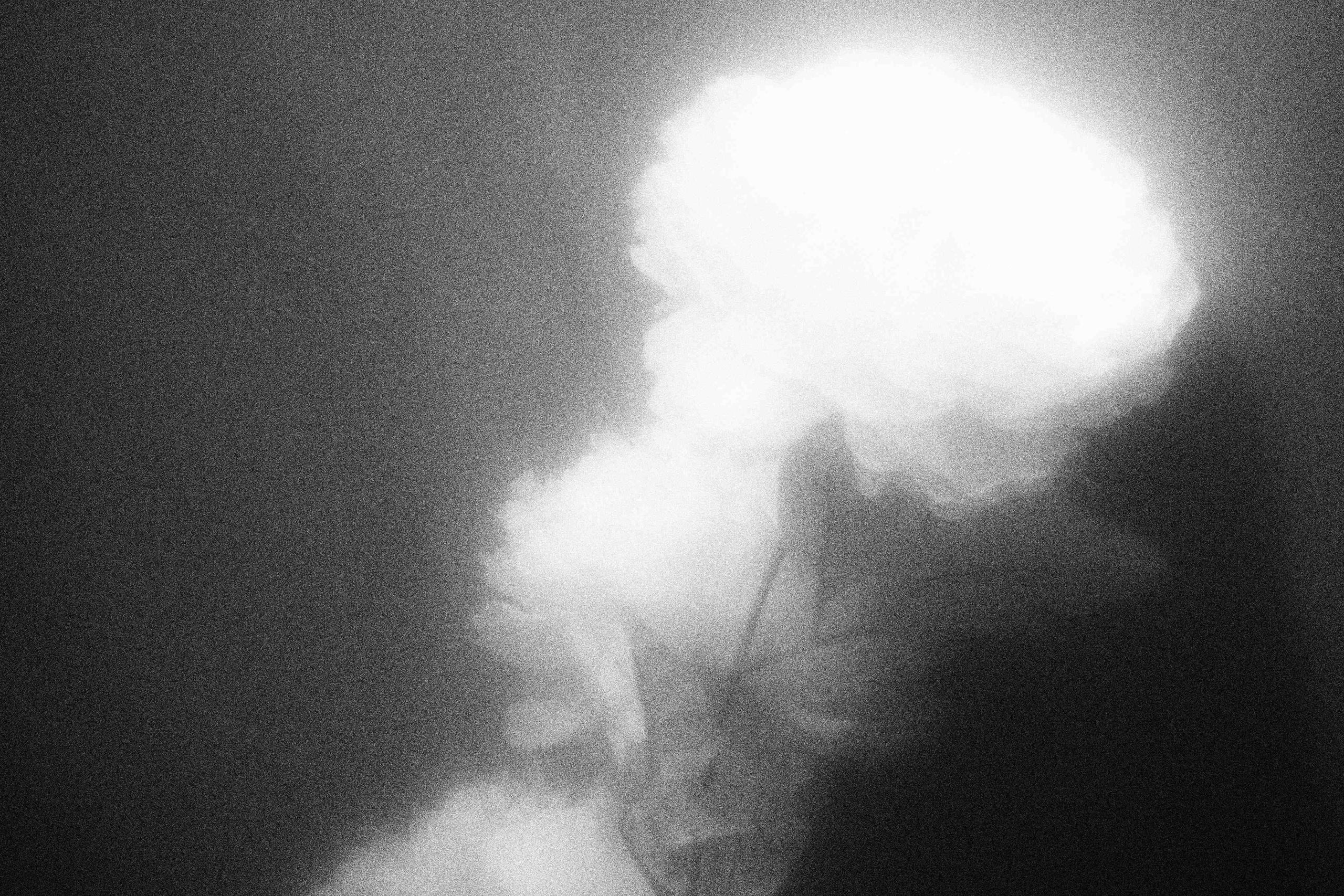 «Видеть. Чувствовать. Сохранять»