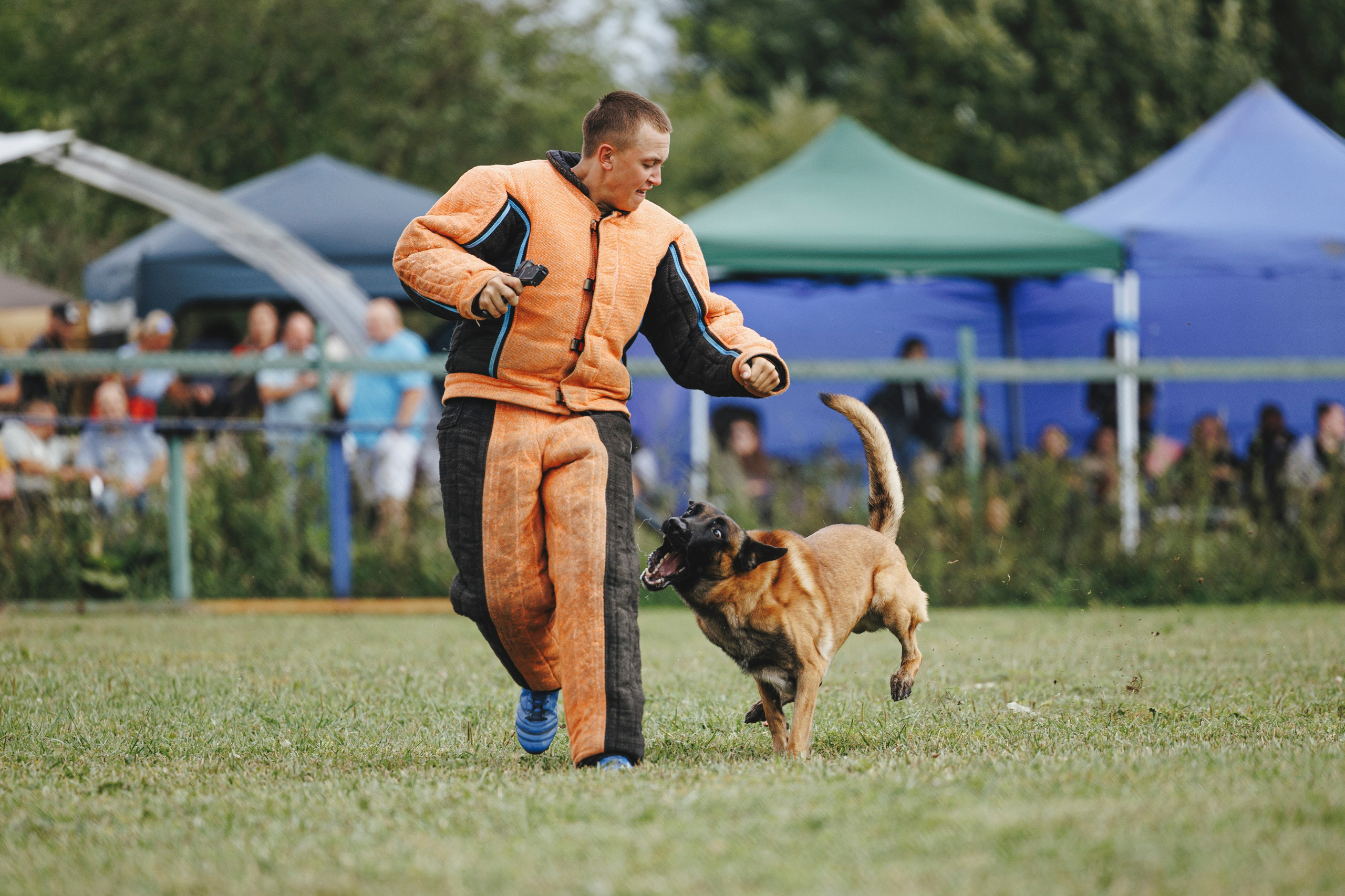08.08.25-10.08.25 ЧР по мондьорингу г. Вологда. Фотограф-анималист Анна Маринич