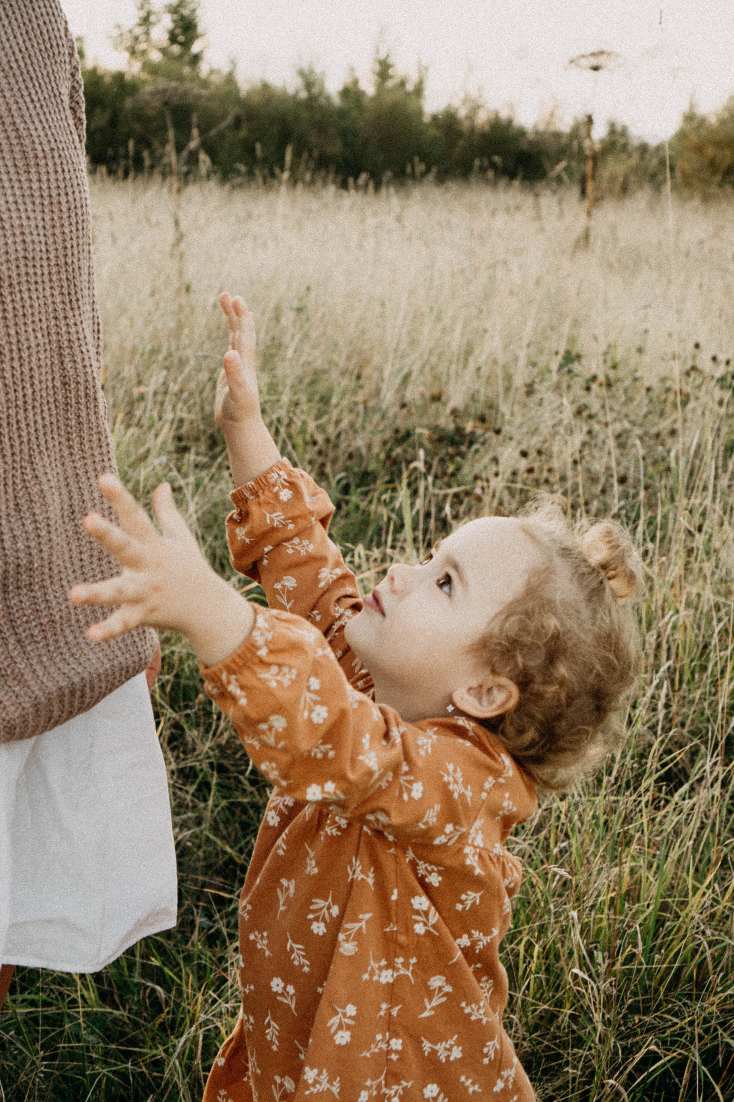 Семейная серия. Профессиональный фотограф, Санкт-Петербург — Виктория Богомолова