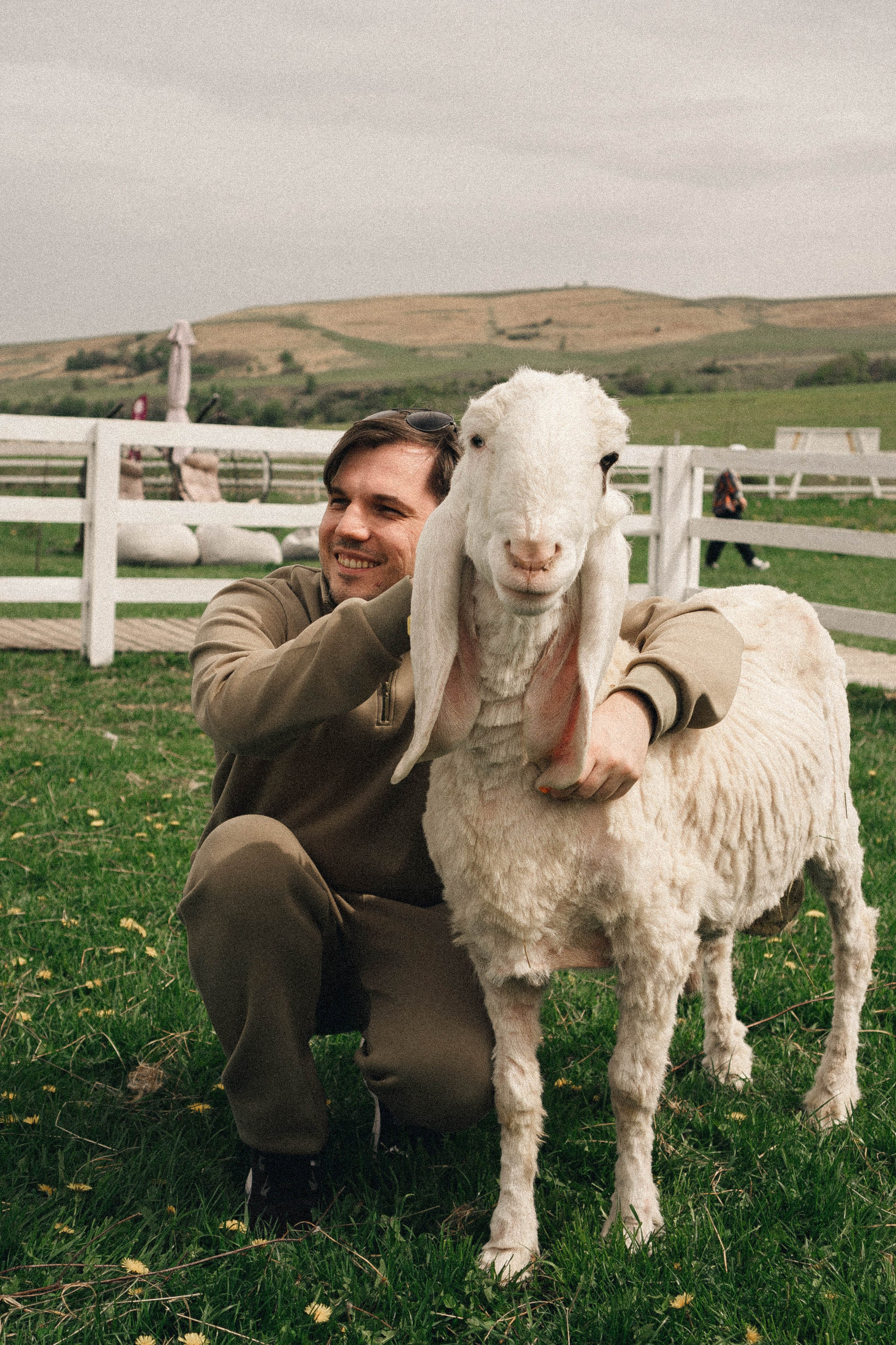 Ферма Альпак. Профессиональный фотограф, Санкт-Петербург — Виктория Богомолова