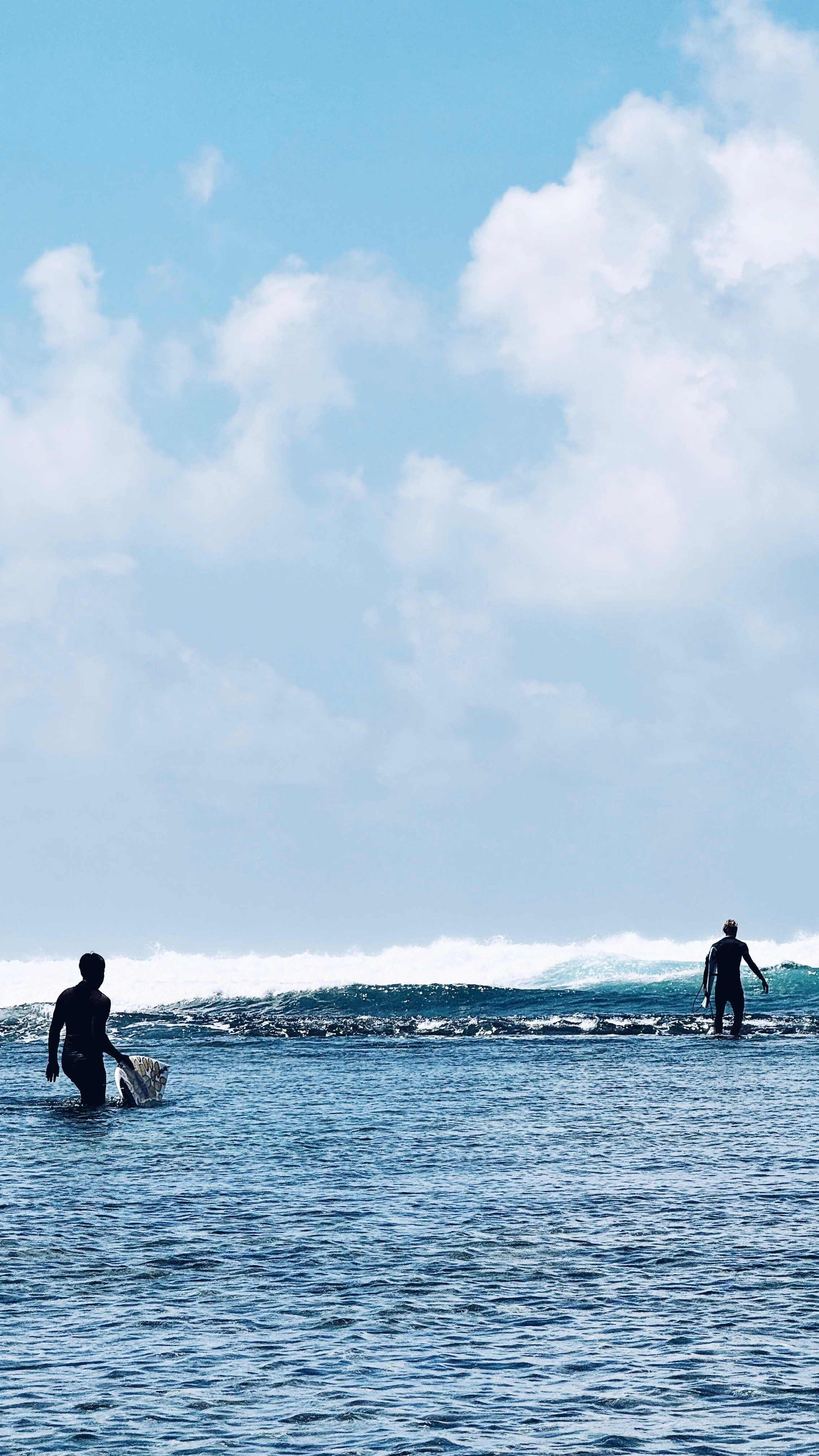 SURFING. Carolinetru