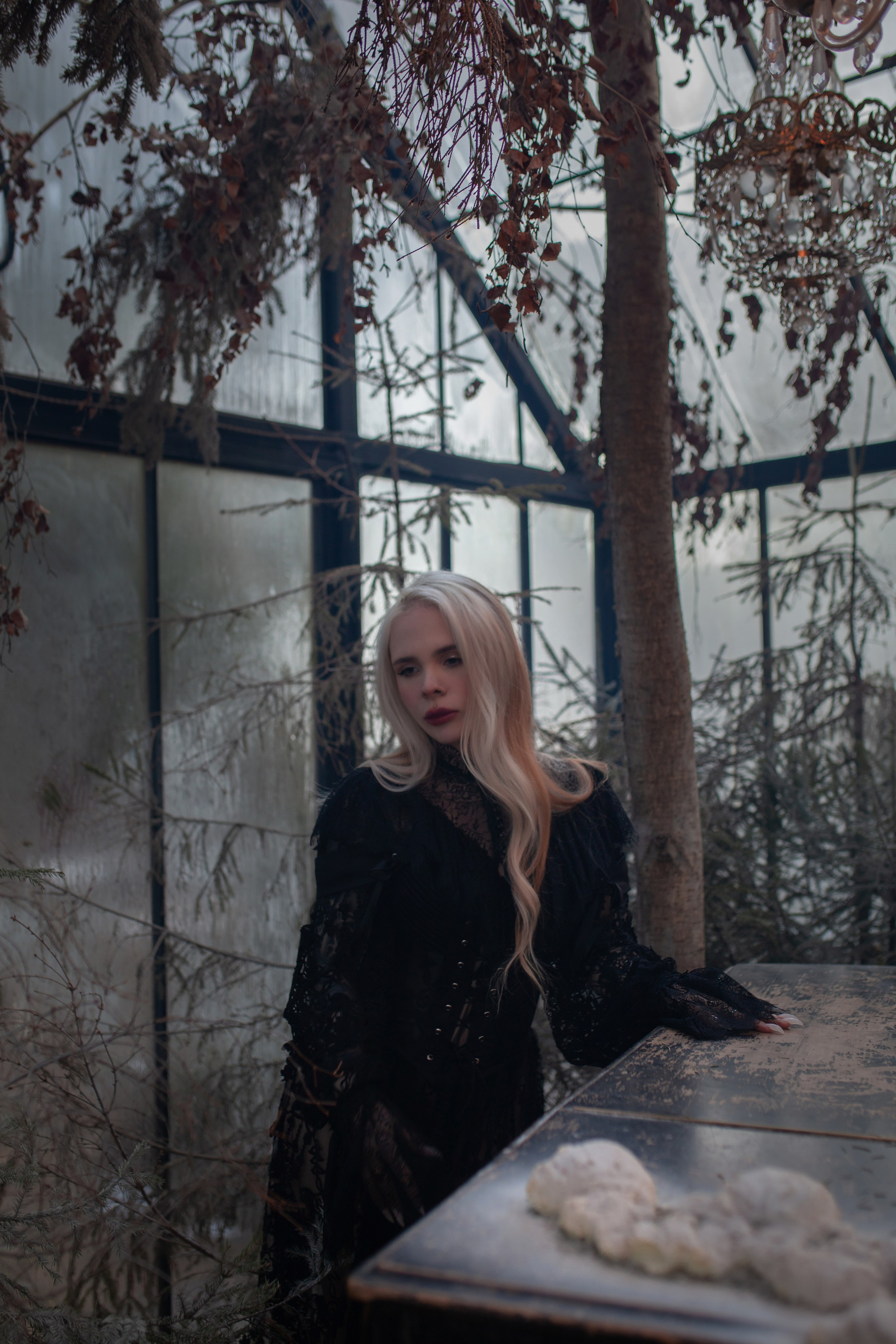 Замерзший Лес. Лиза Бродская — фотограф в Москве