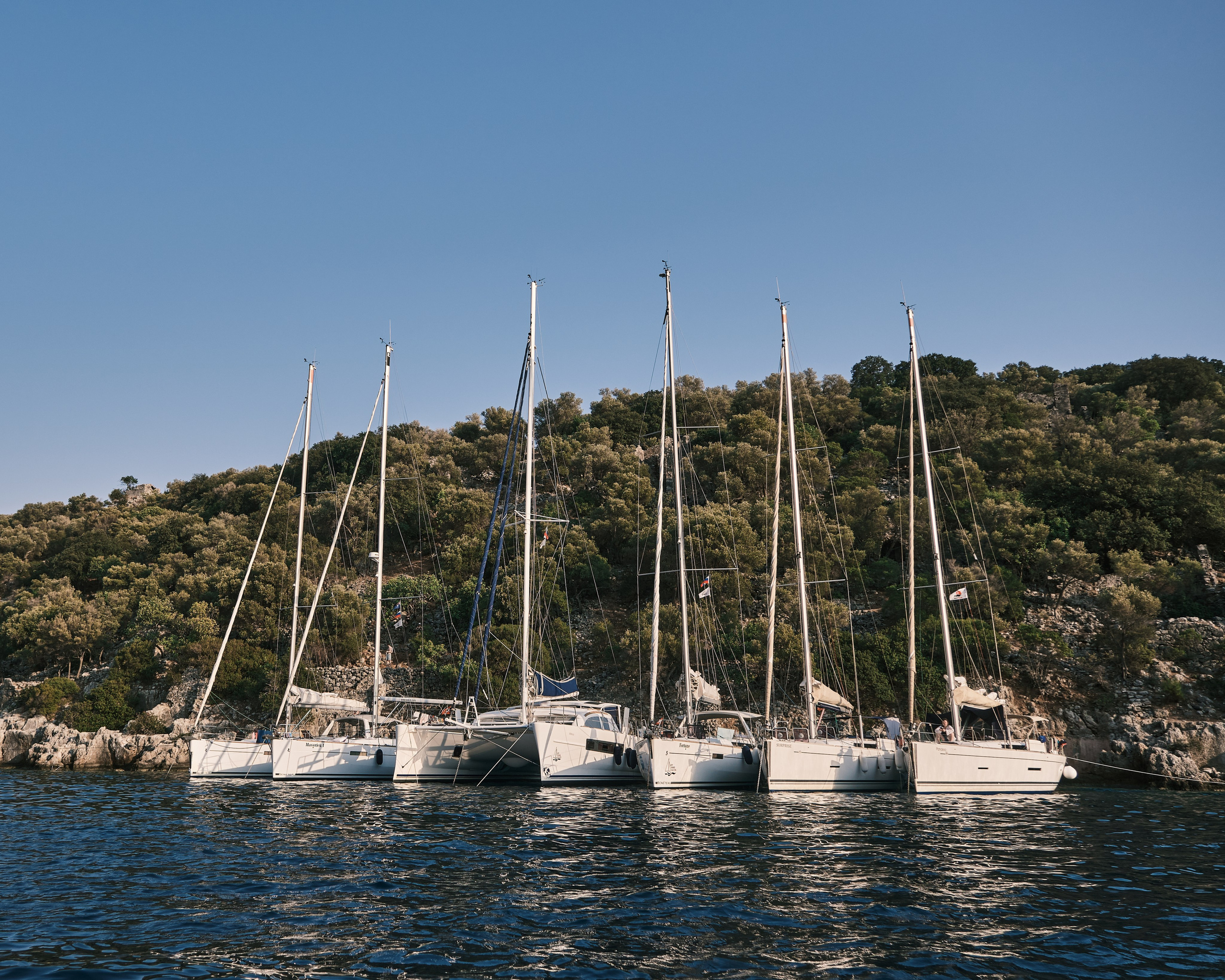 Zaoksky.Photo Санкт-Петербург