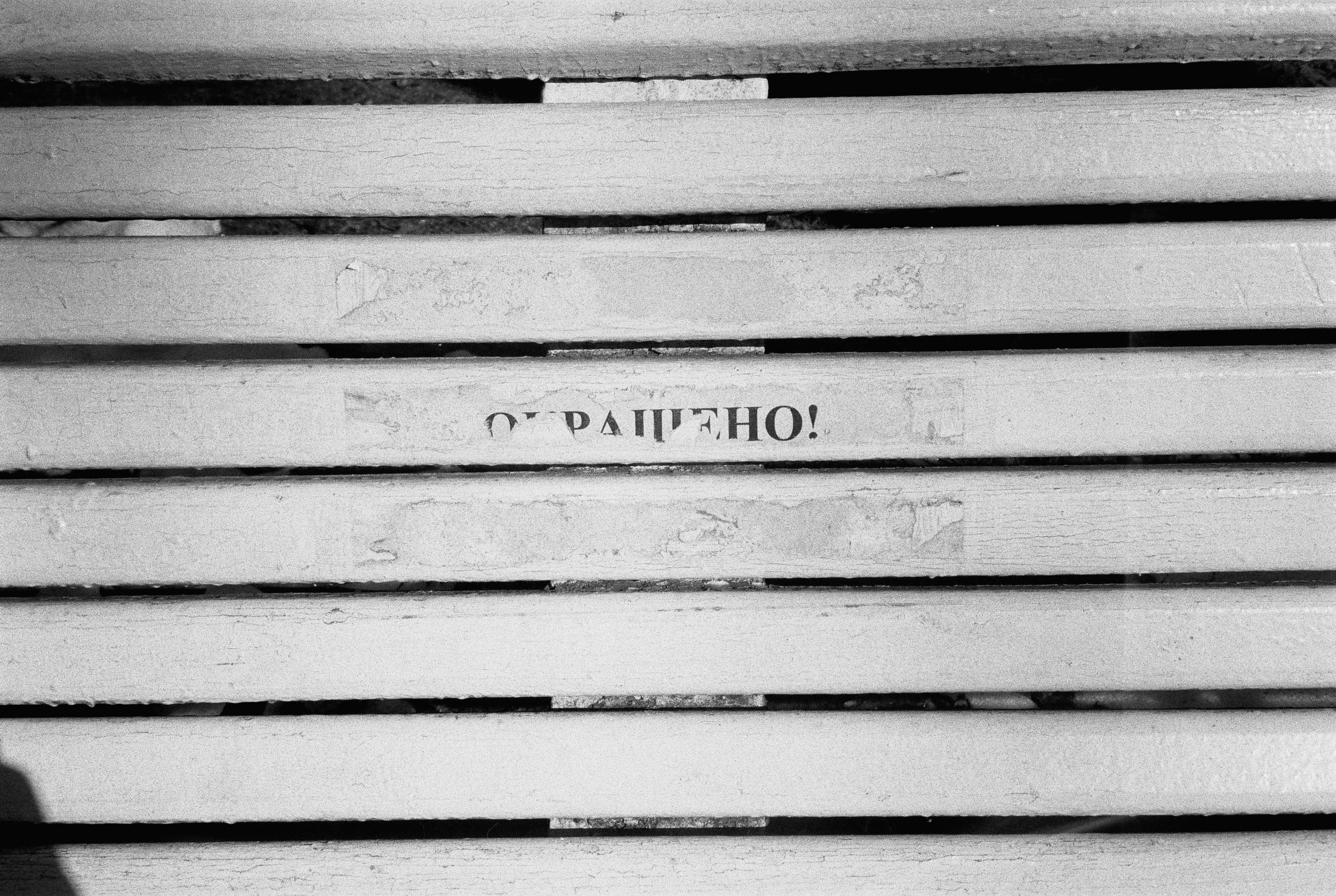 Фотографии черно-белые. Свадебный и семейный пленочный фотограф в Петербурге Истомина Ирина