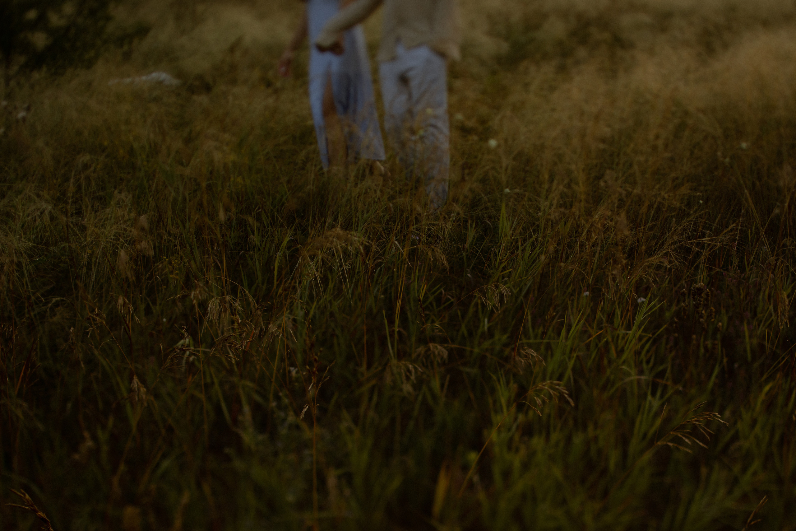 Дима и Оля. Свадебный и семейный фотограф в Красноярске Прохорова Екатерина