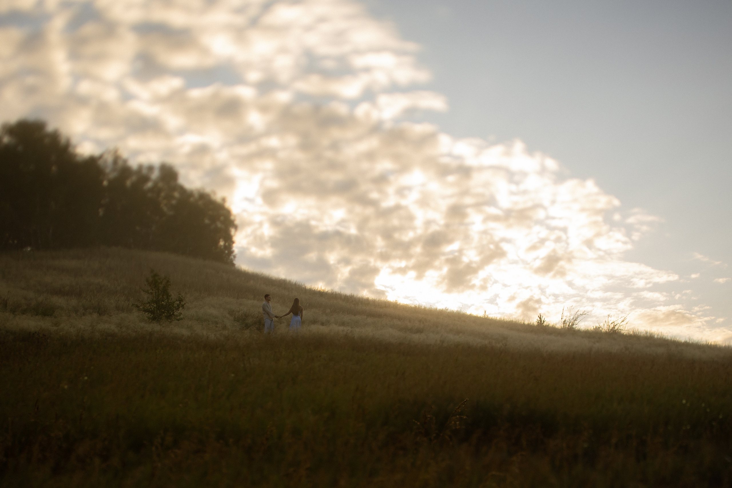 Дима и Оля. Свадебный и семейный фотограф в Красноярске Прохорова Екатерина