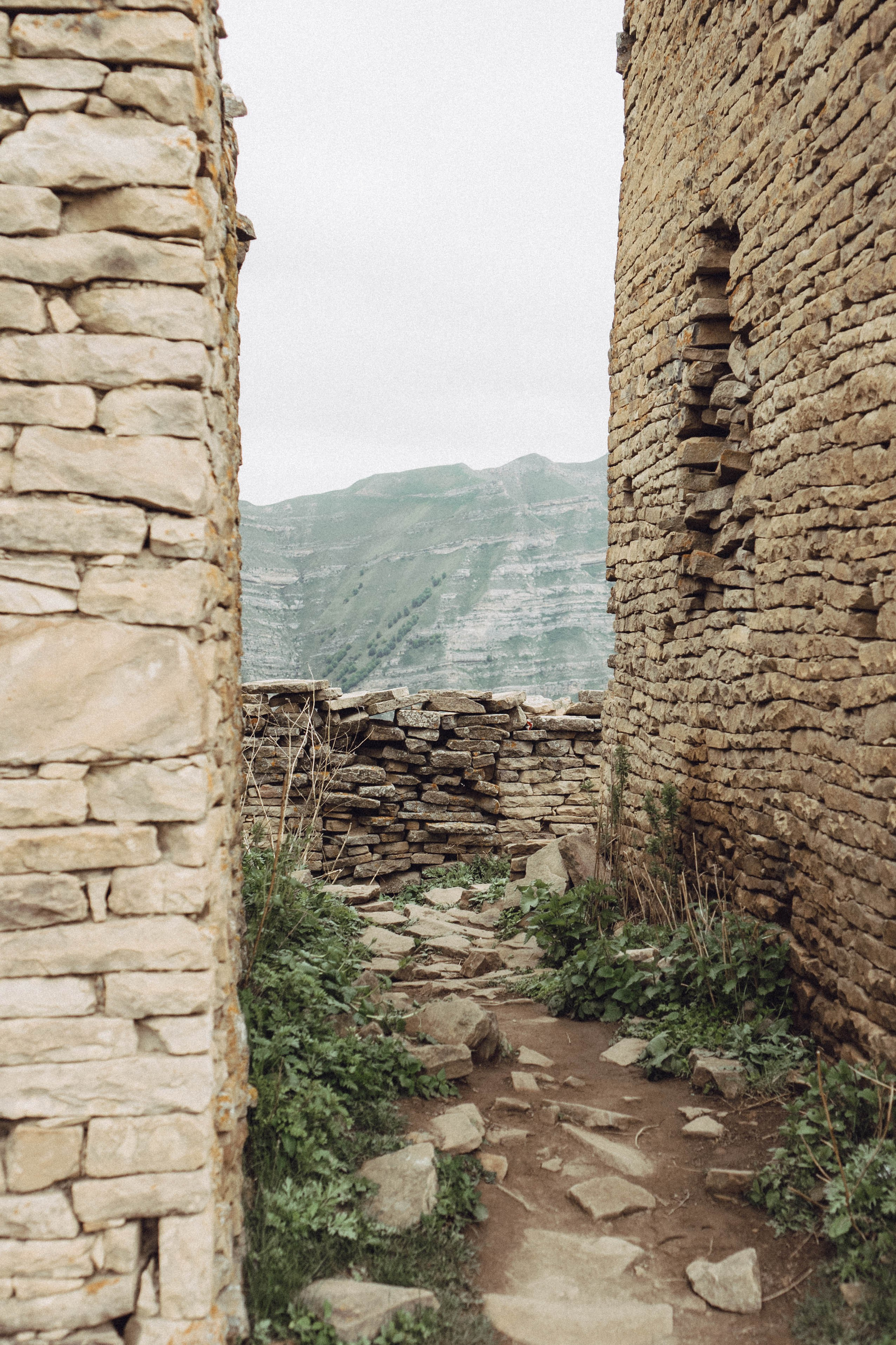 Кавказ. Профессиональный фотограф, Санкт-Петербург — Виктория Богомолова