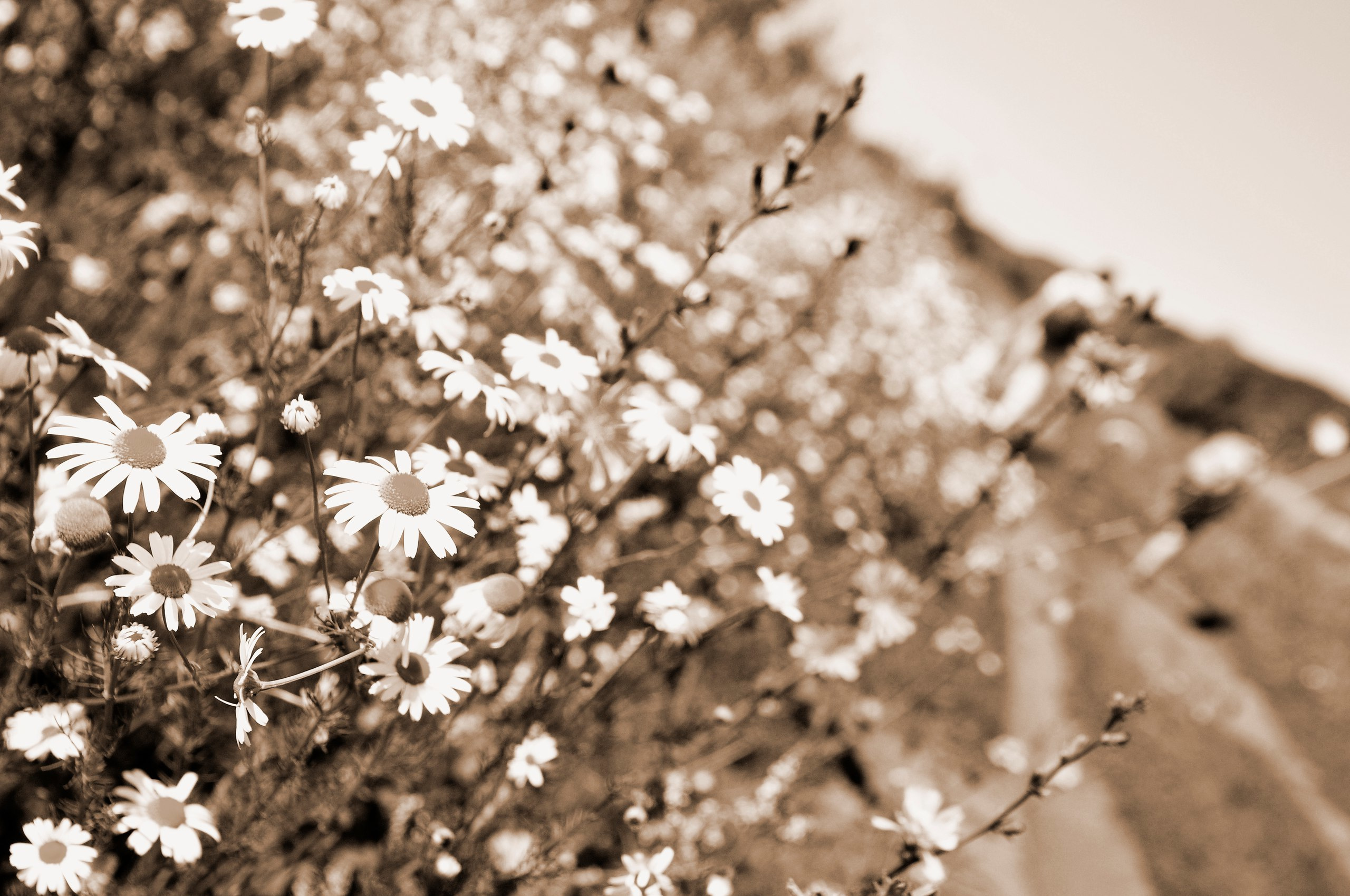 Репортажная съемка в Самаре и Самарской области