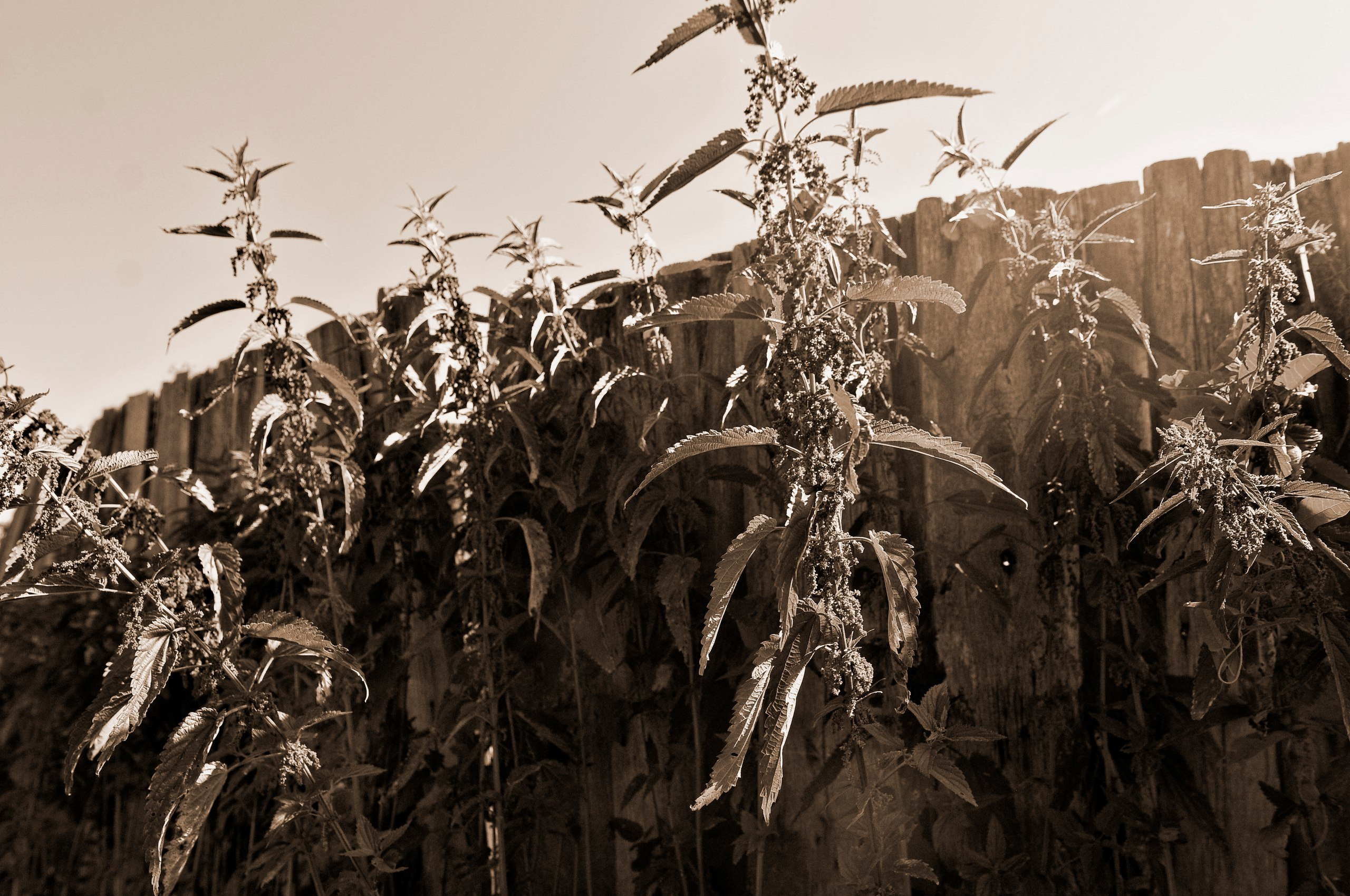 Репортажная съемка в Самаре и Самарской области