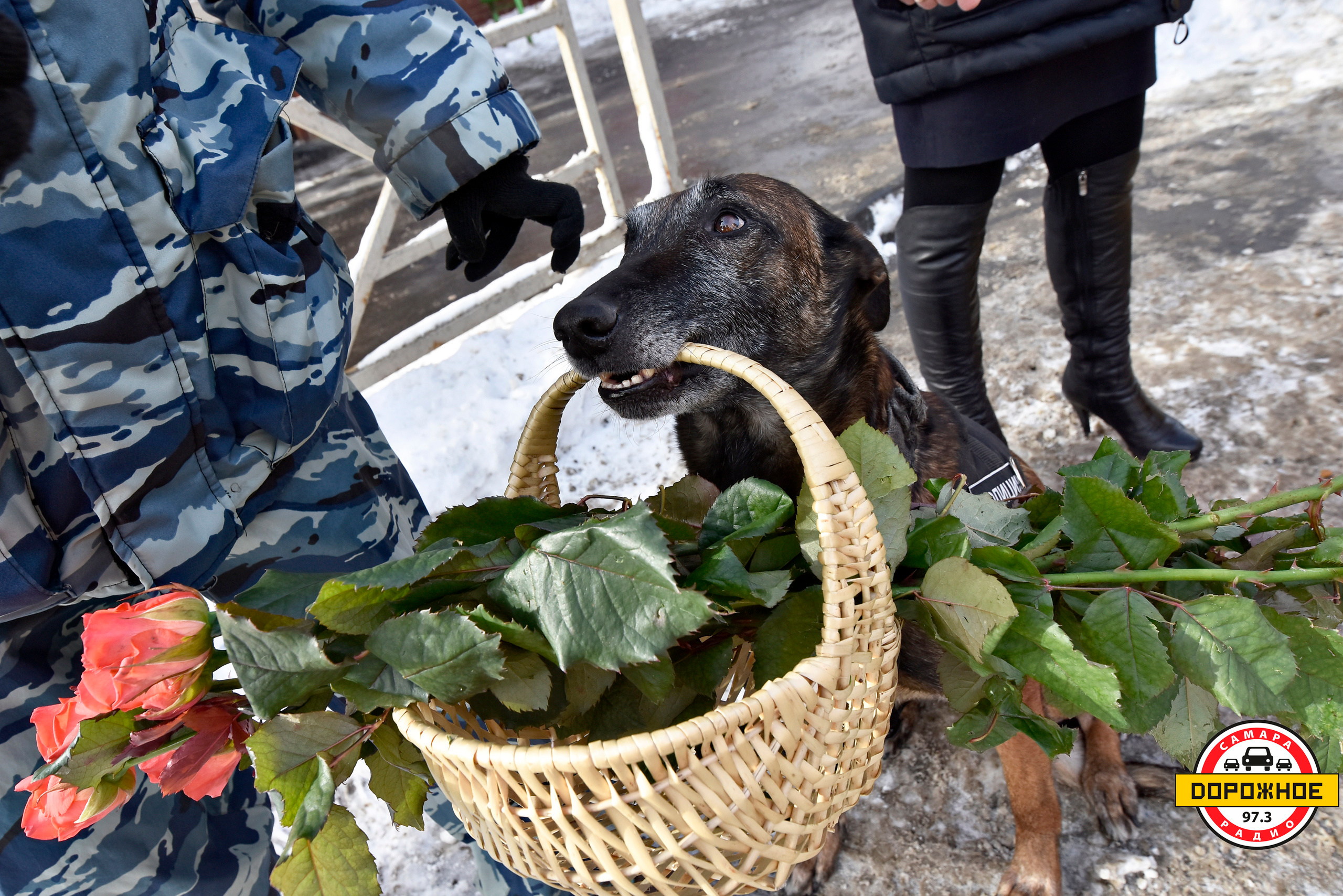Репортажная съемка в Самаре и Самарской области