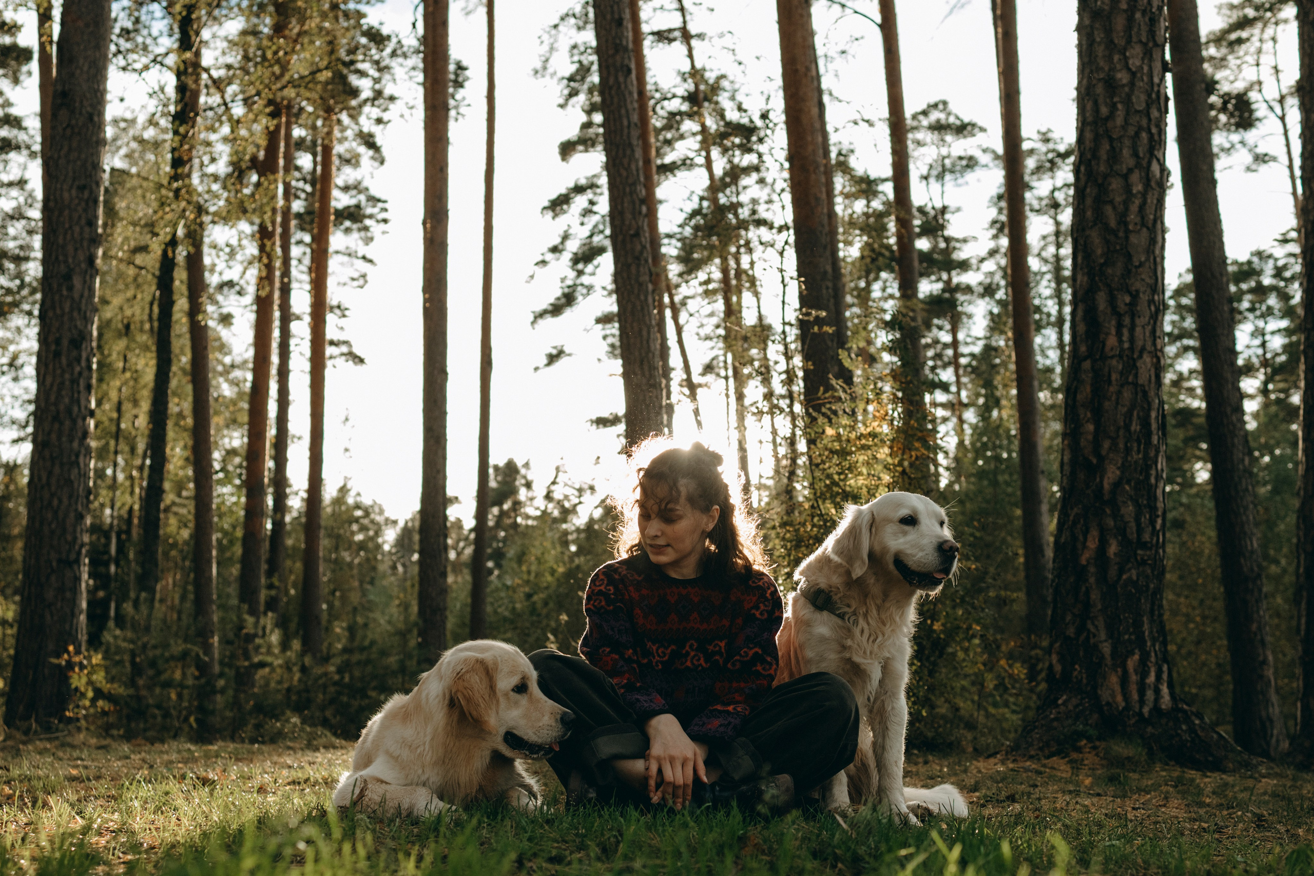 Прогулка Насти с Арчи и Арагоном. Фотограф-анималист в Санкт-Петеребурге Титова Алиса