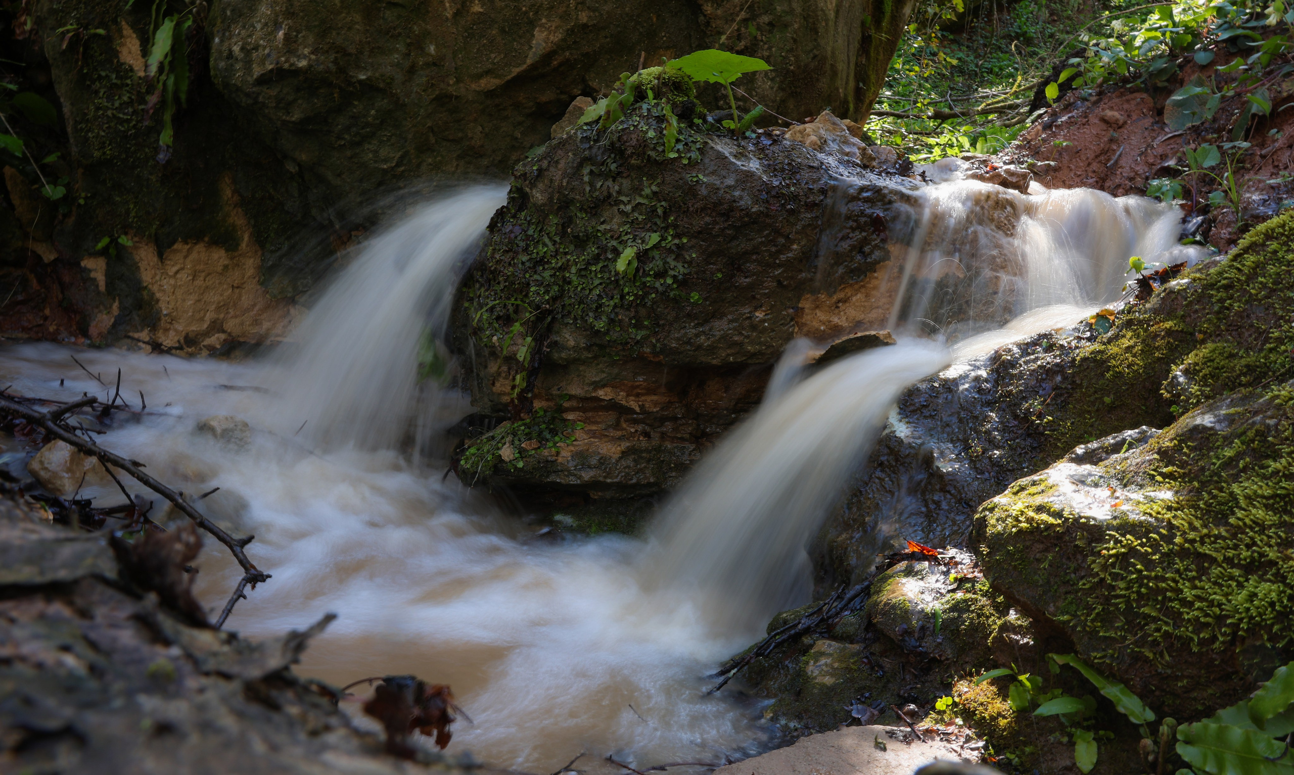 Фотограф Мария Алексеева. Мария Алексеева. Фотограф в Москве