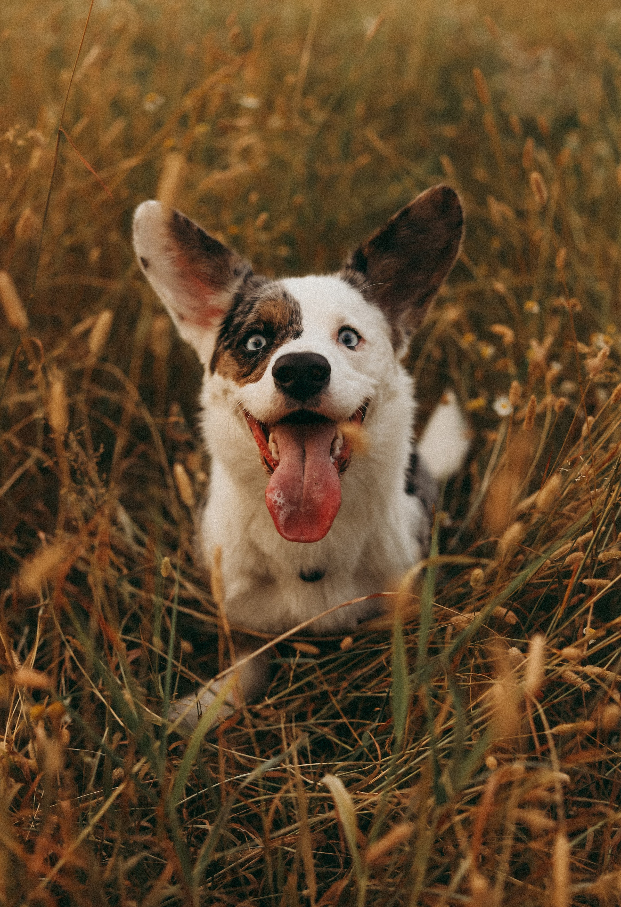 1. Фотограф Москва и Санкт-Петербург