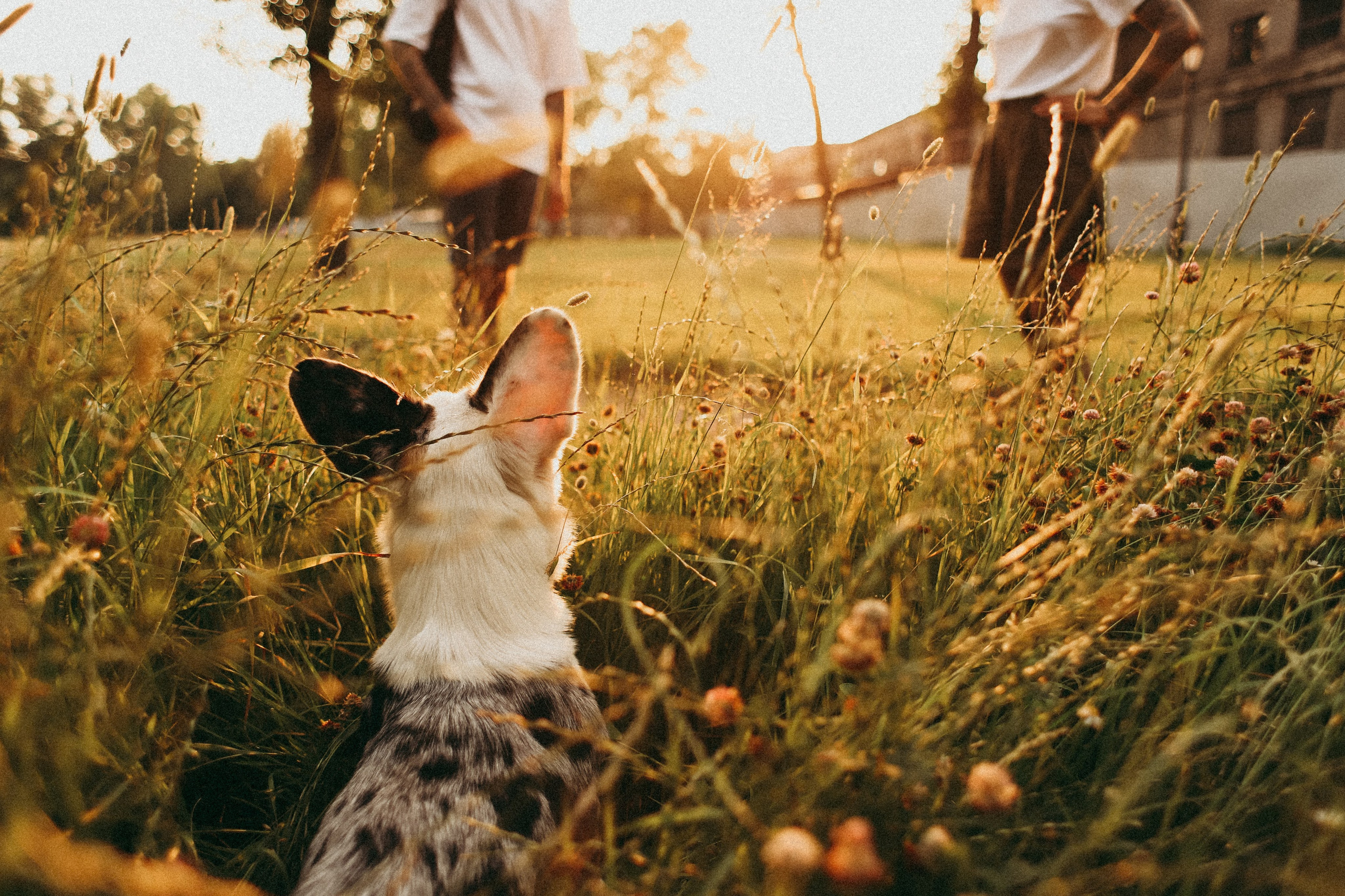 1. Фотограф Москва и Санкт-Петербург