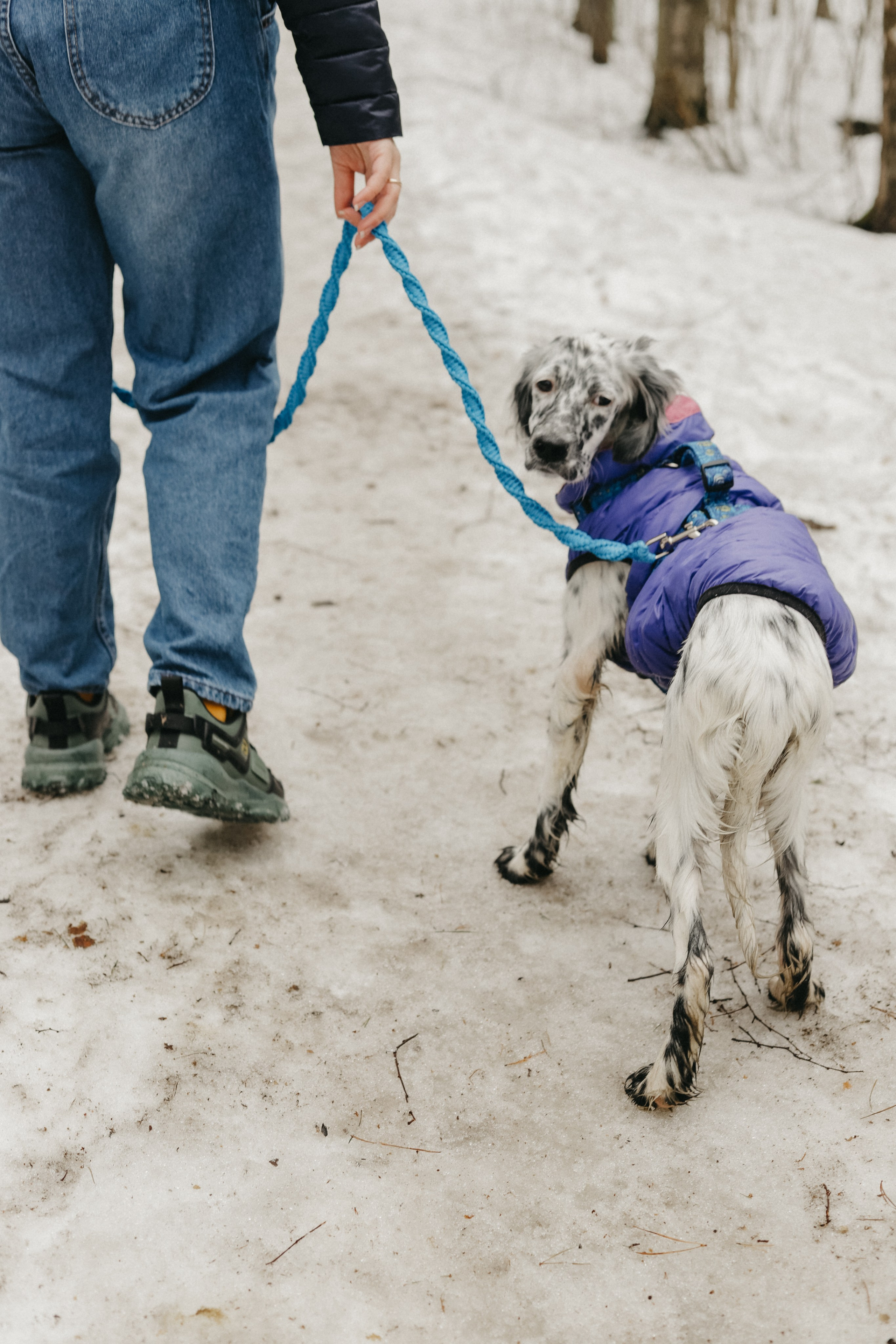 Для приюта (уже дома). Фотограф Москва и Санкт-Петербург