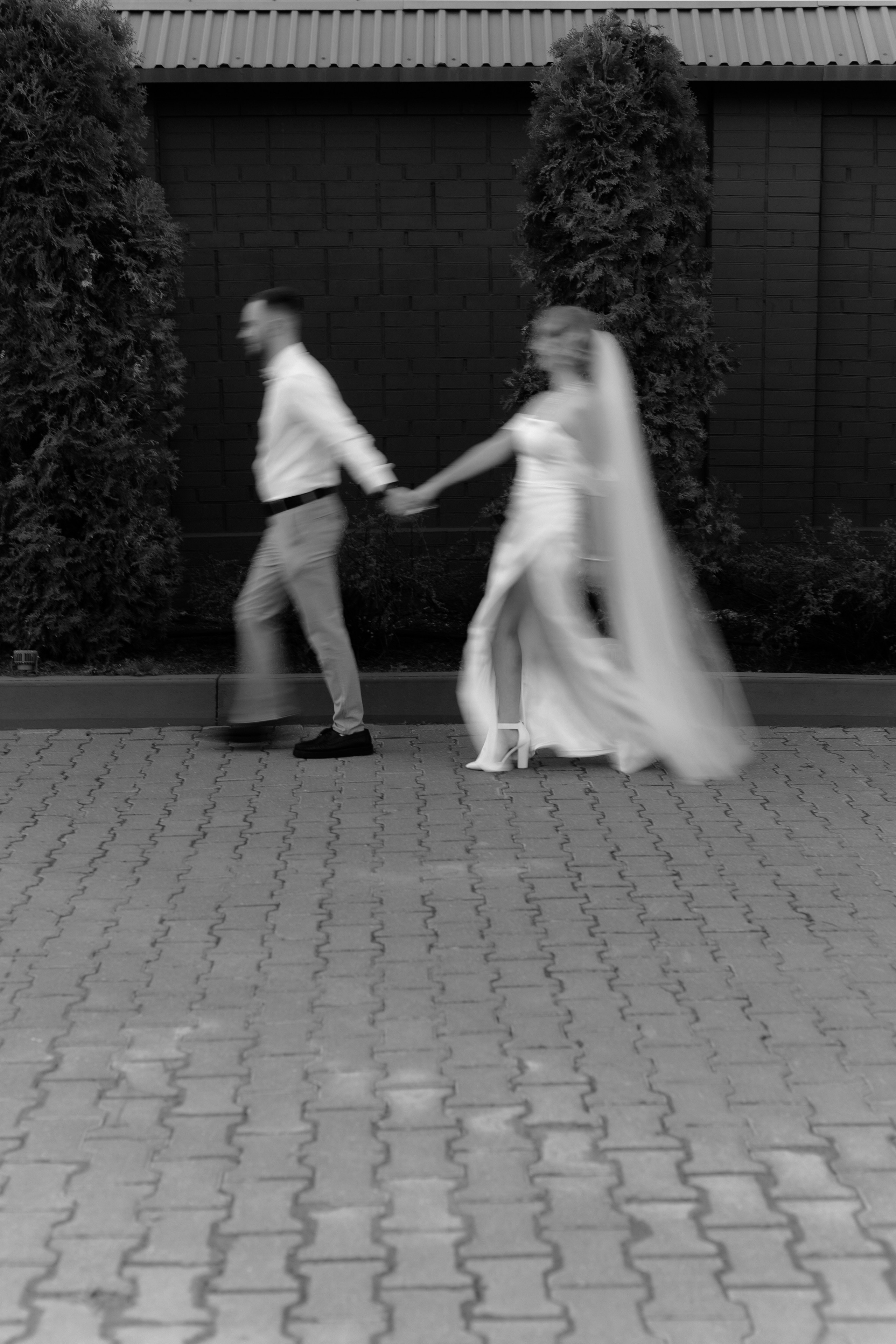 Свадьба Вадима и Дарьи. Фотограф Кольчугино/Владимир/Москва Елизавета Иода