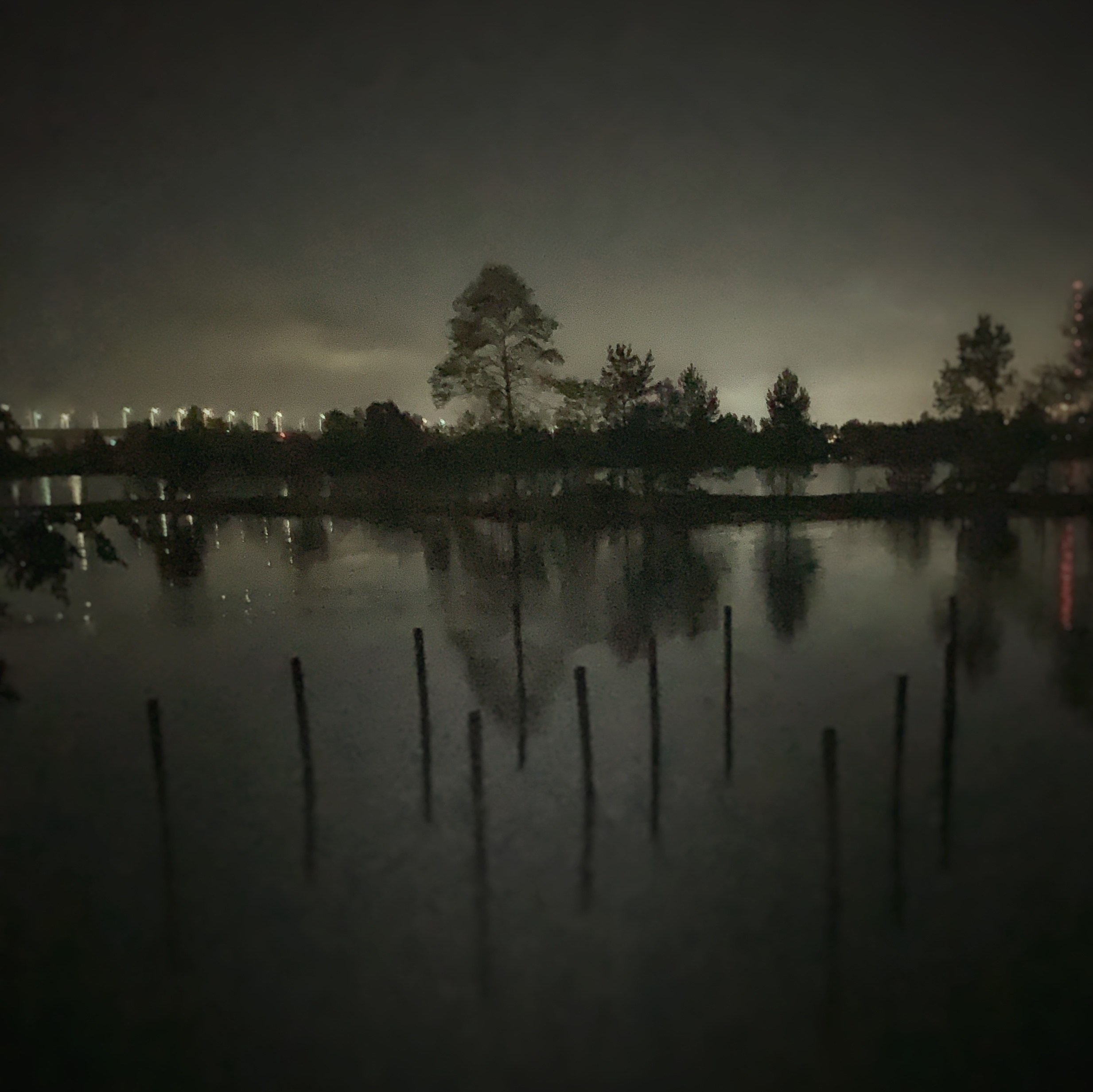 2022. Тащилин Сергей. Фотографии. Жизнь. Хобби