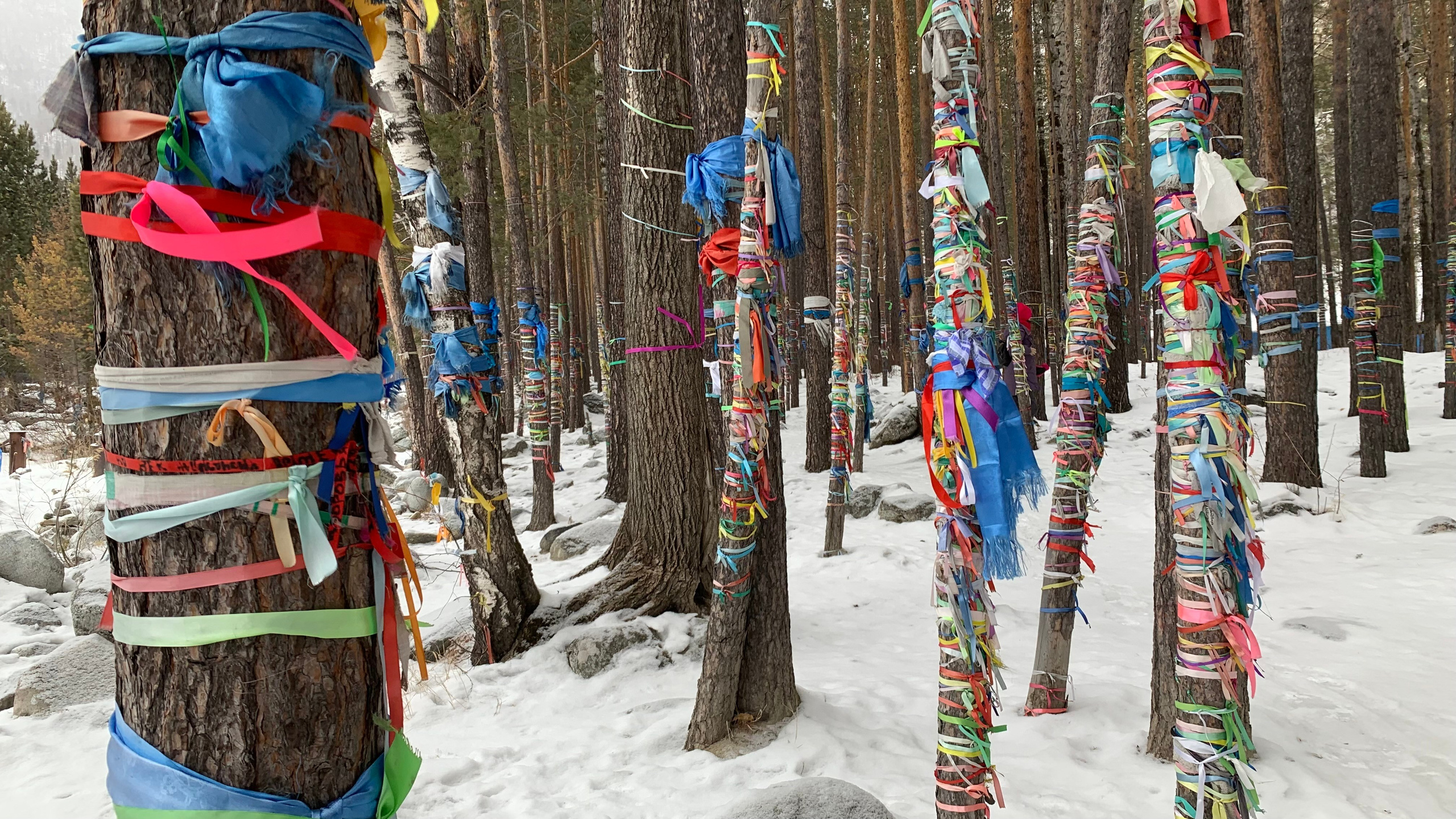 2022. Тащилин Сергей. Фотографии. Жизнь. Хобби