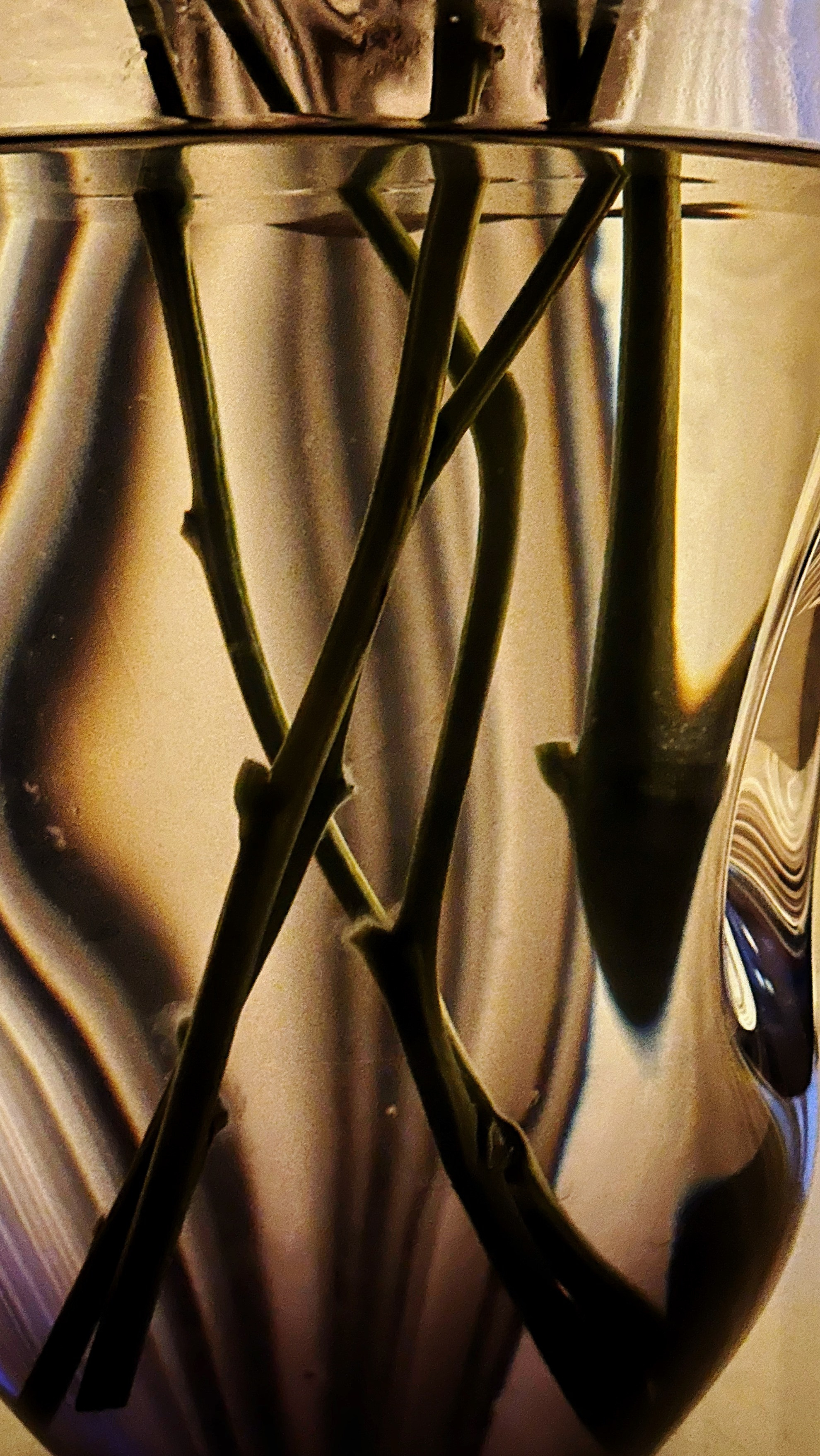 2024. Тащилин Сергей. Фотографии. Жизнь. Хобби