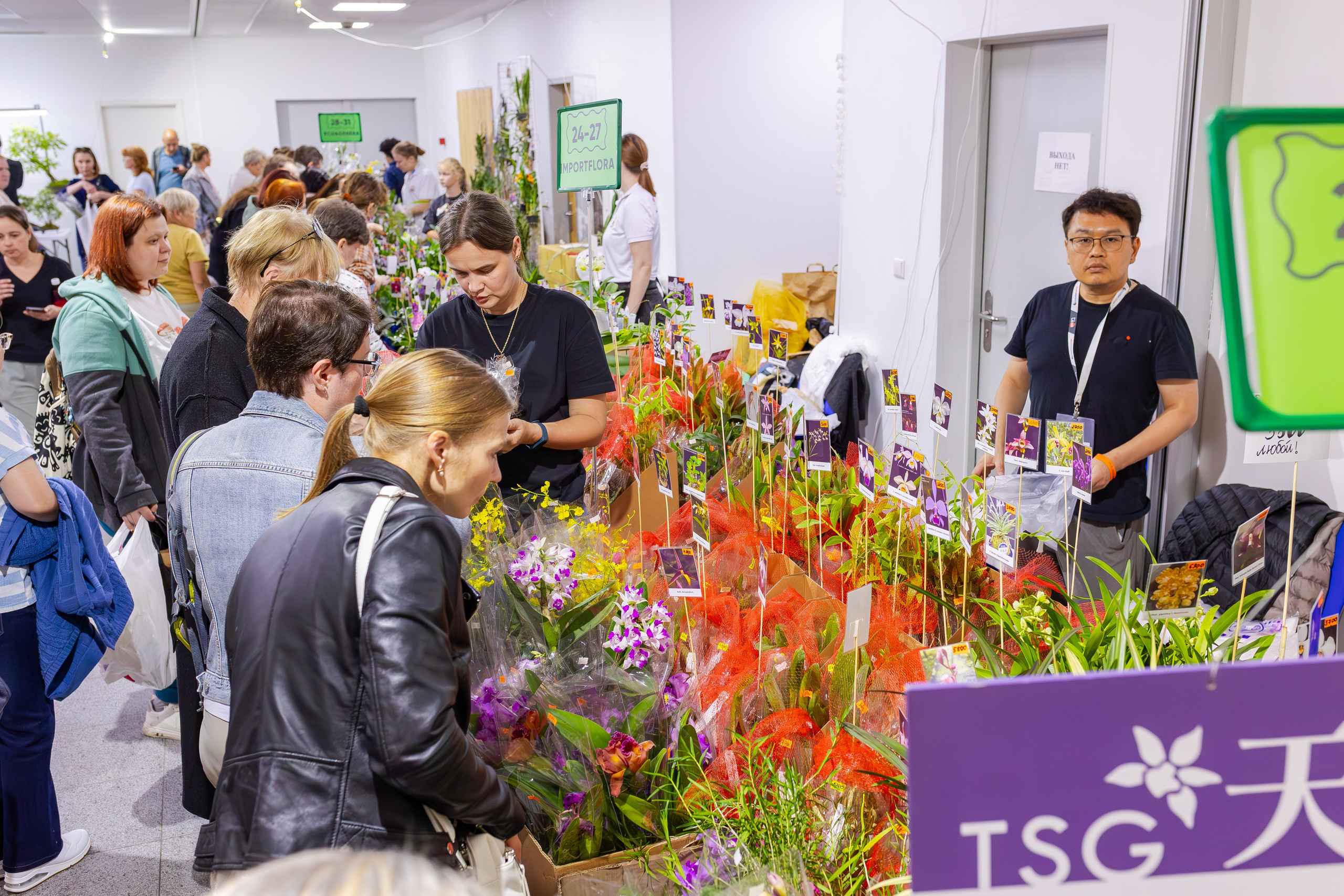 Орхидиум сентябрь 2025. Александра Куликова фотограф, Москва