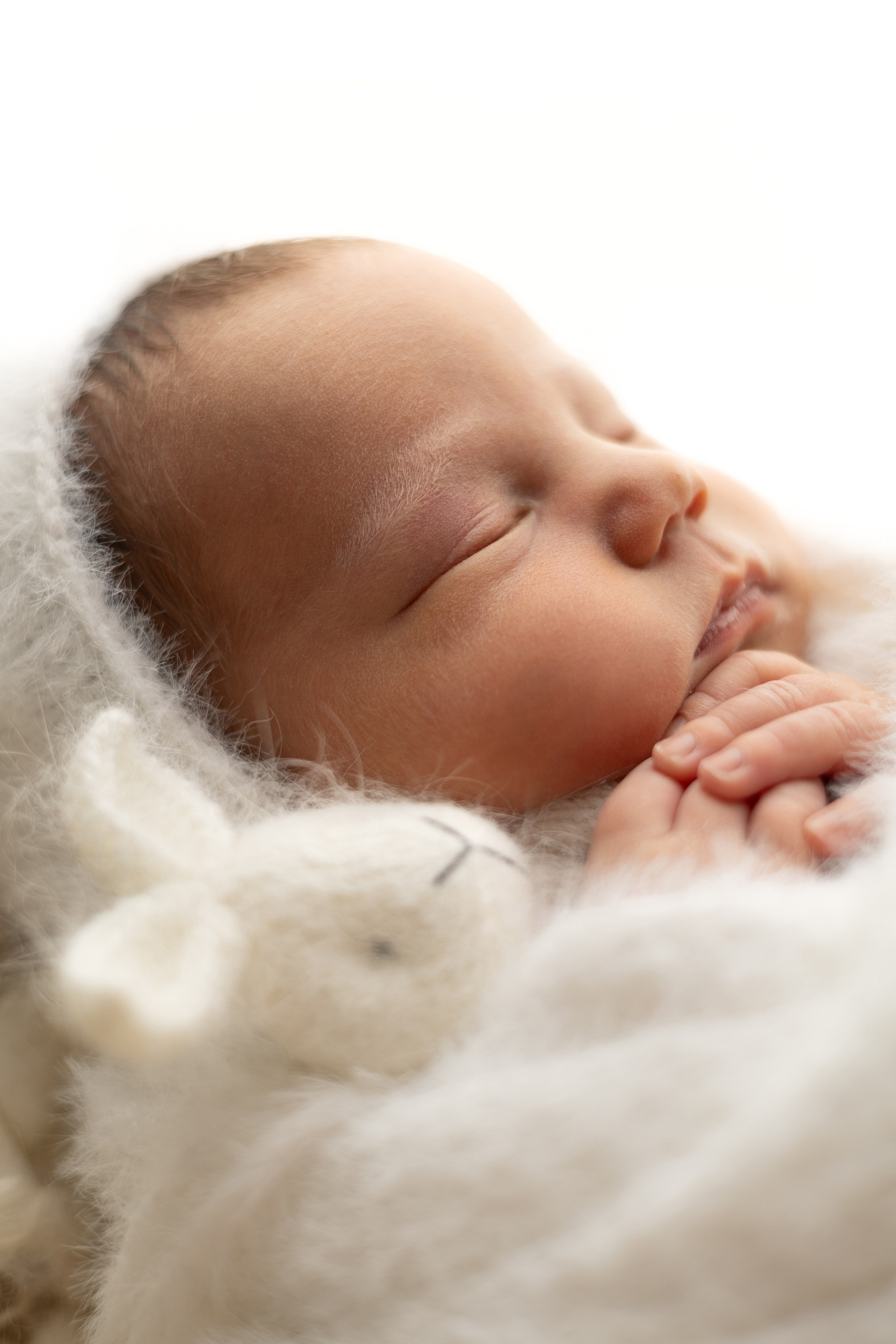 Лев. Лилия Алтухова — фотограф новорожденных в Москве и области