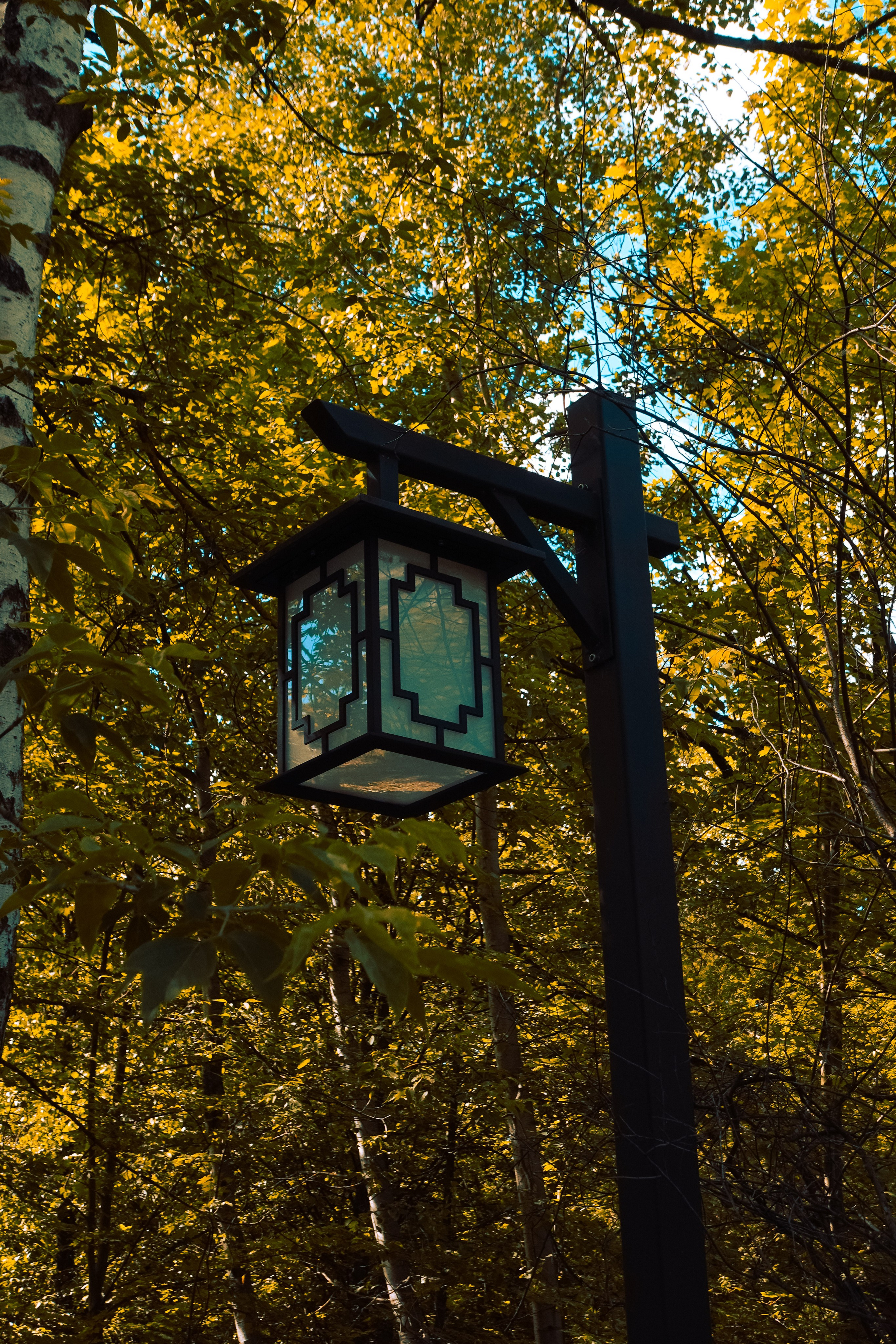 Парк Хуамин. Фотограф Алиса Аспер