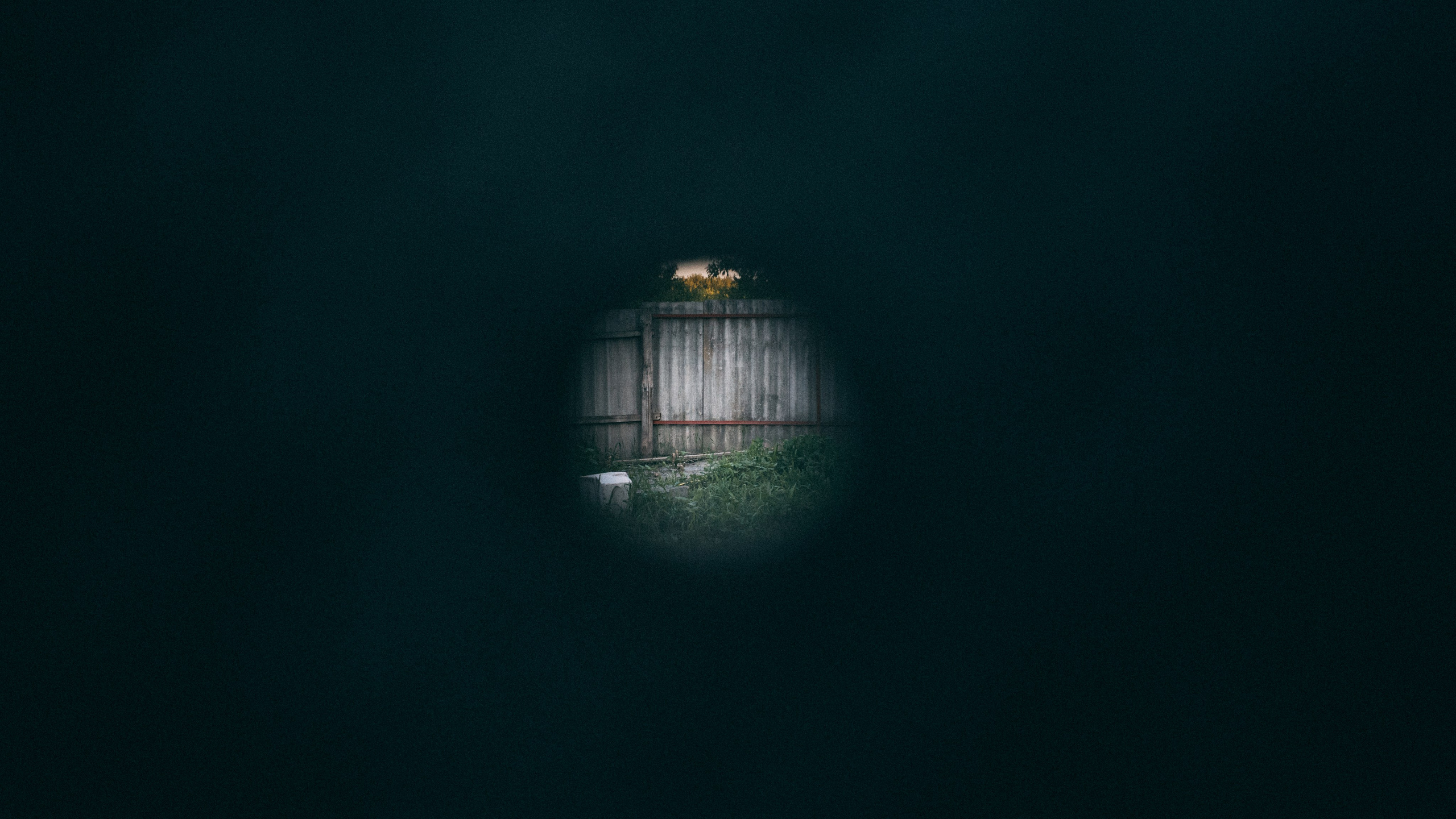 Белгород. Фотограф Алиса Аспер