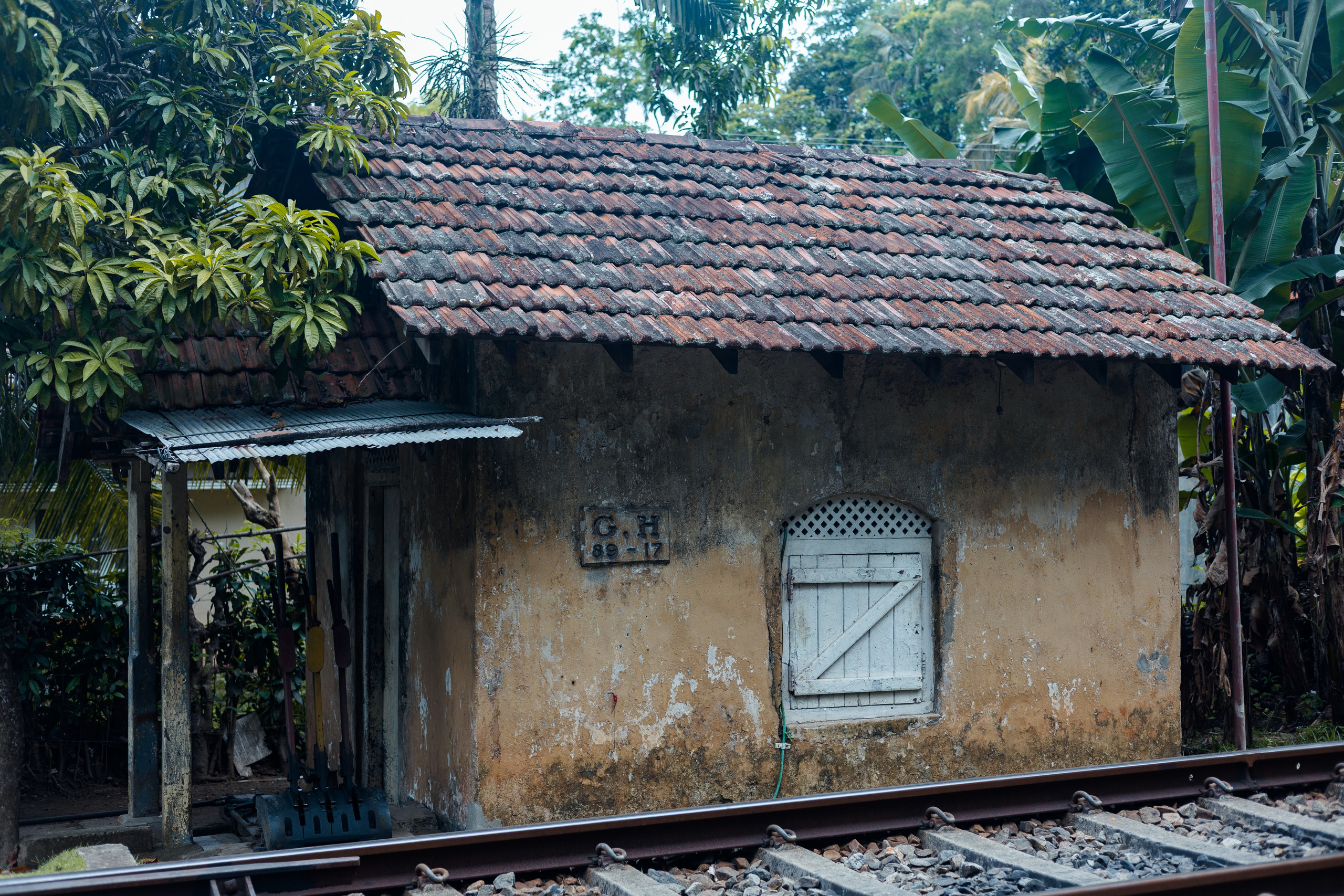 Weligama. Photographer Sonkina Tatiana (Tanya Ash)