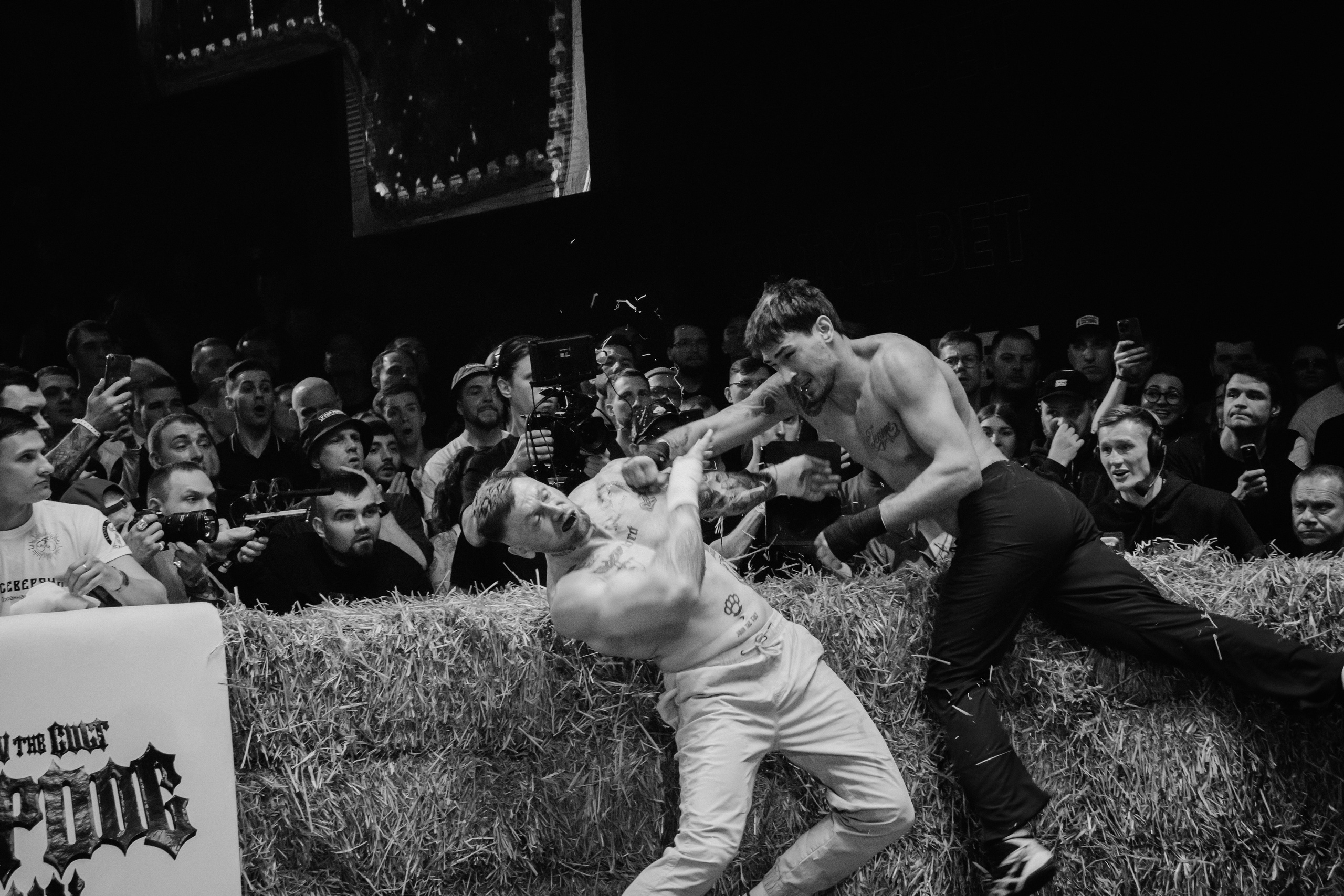 Кулачные бои TopDog. Анастасия Тен