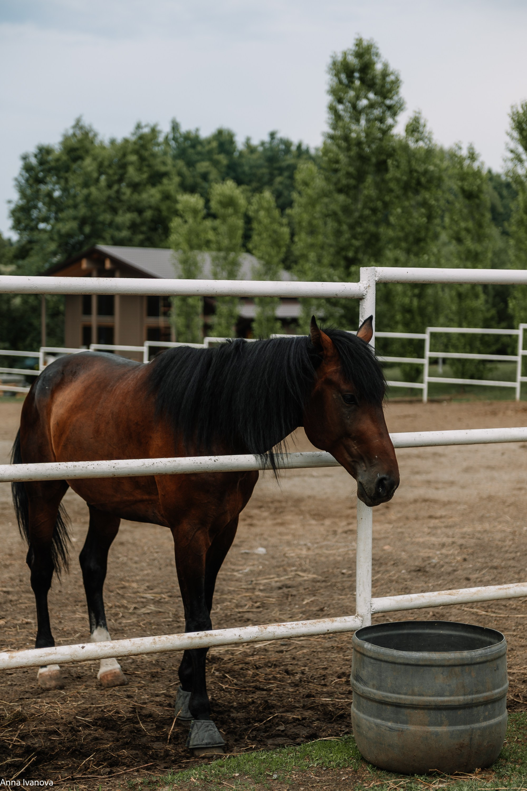 Свадебная фотосессия. Анна Иванова Свадебный Фотограф Чебоксары